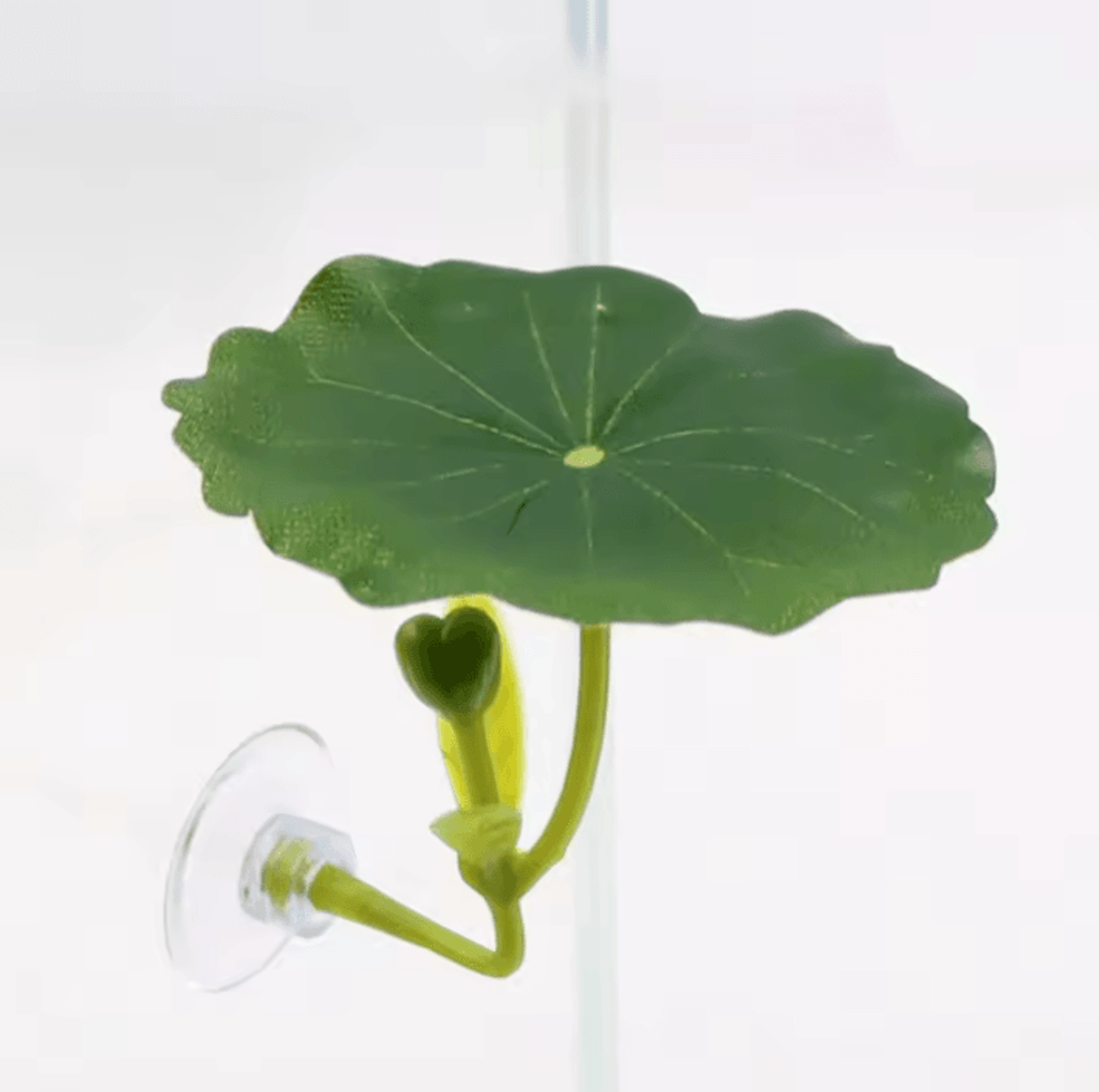 Betta Fish Leaf Hammock With Suction Cup Aquarium Decor 5