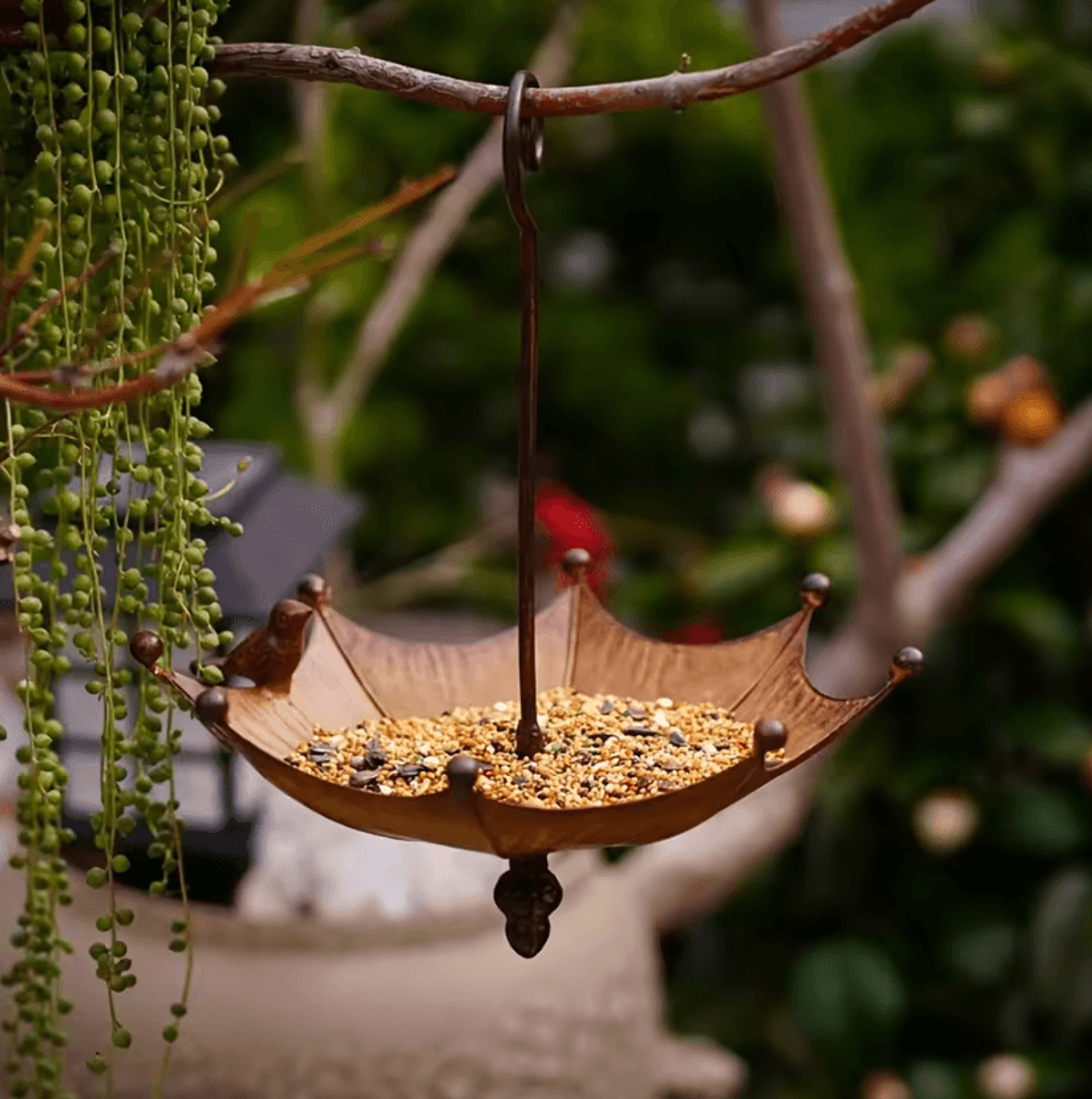 Umbrella Hanging Bird Feeder  Bird Bath Outdoor Garden Decor 1