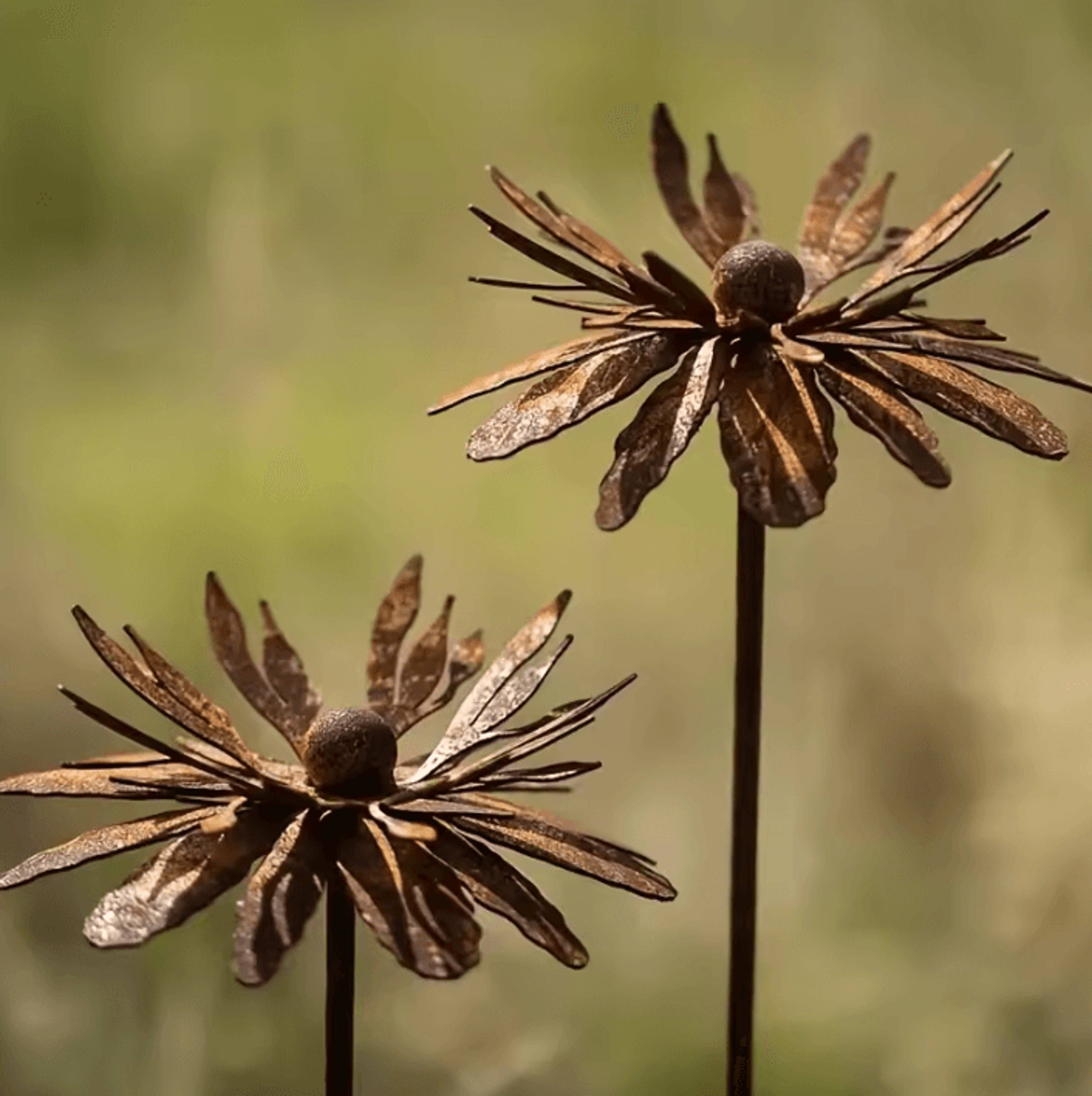 Rustic Metal Daisy Garden Stake Vintage Iron Flower Yard Decor 3