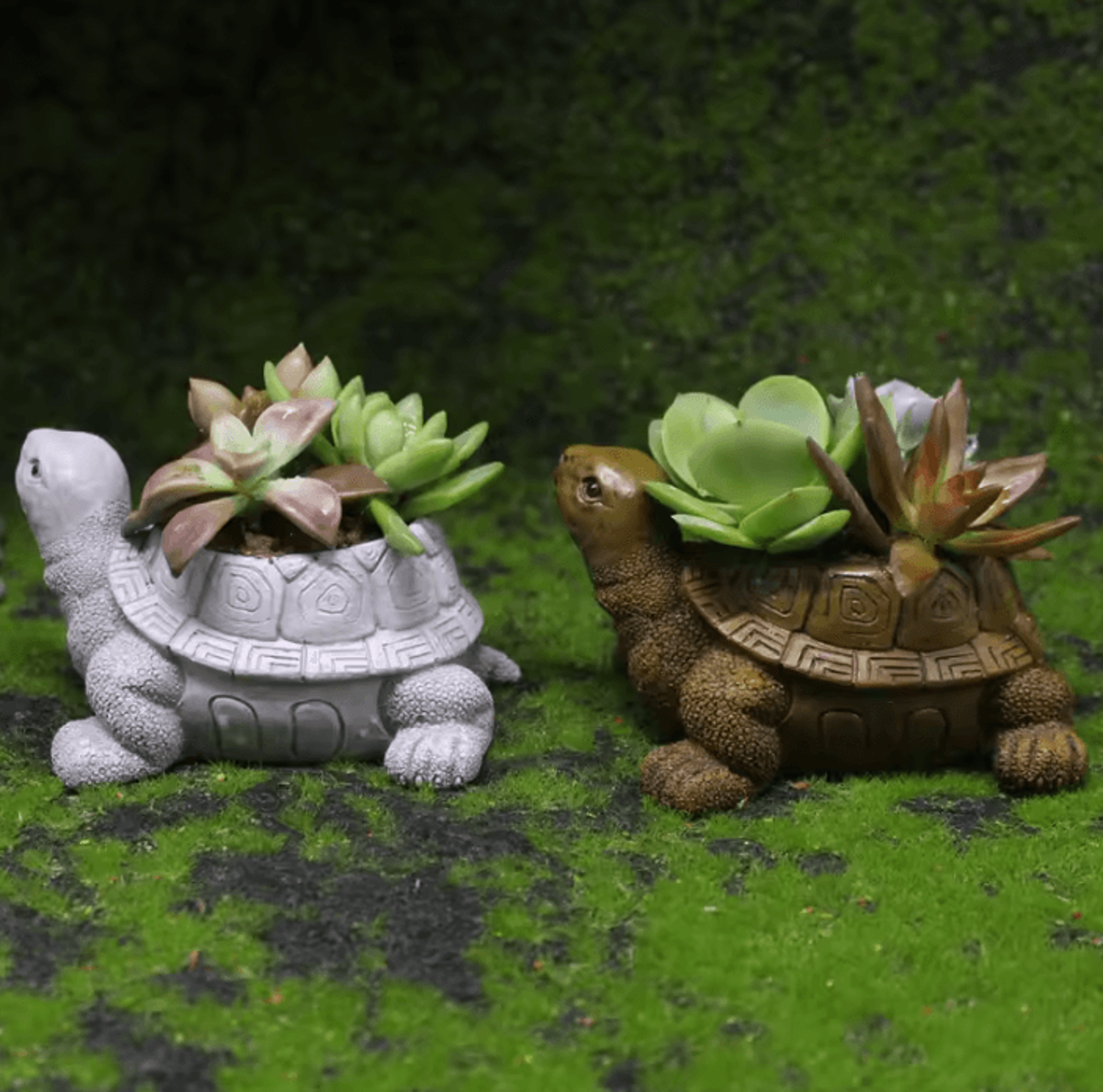 Cartoon Turtle Resin Succulent Planter For Home Office  Garden 2