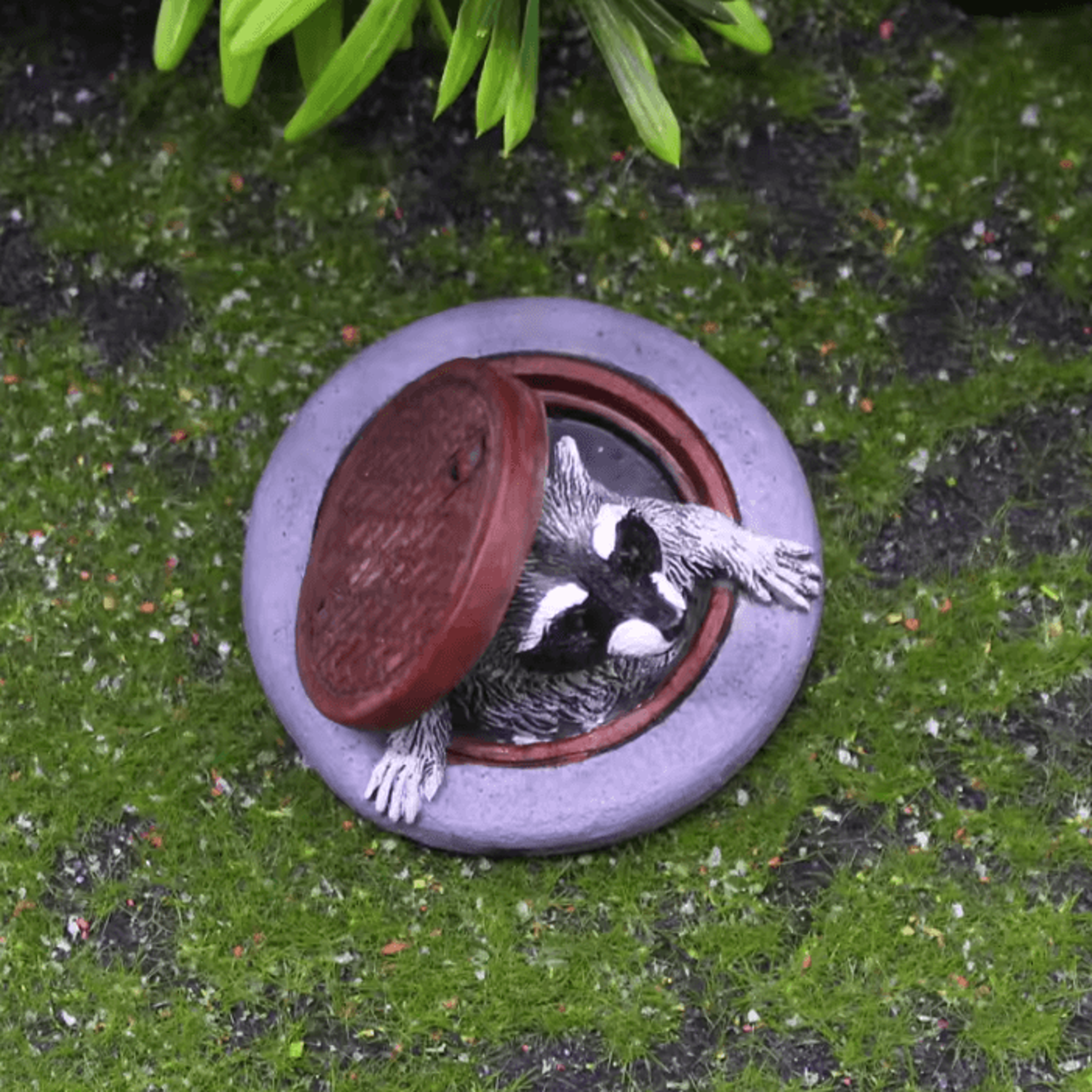 Cute Resin Raccoon Garden Statue For Bonsai Desk  Outdoor Decor 2