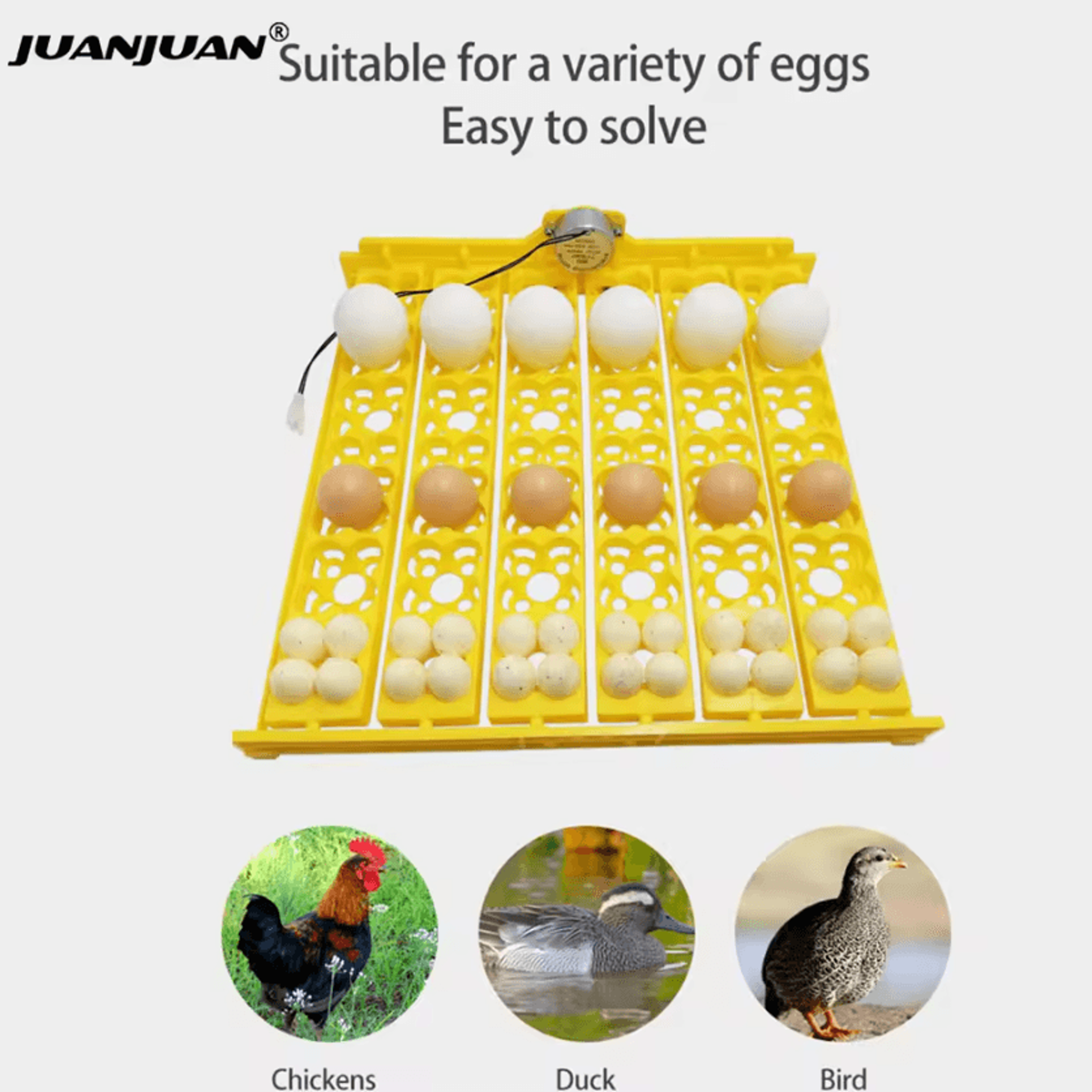 24 egg automatic incubator turner tray for poultry hatching