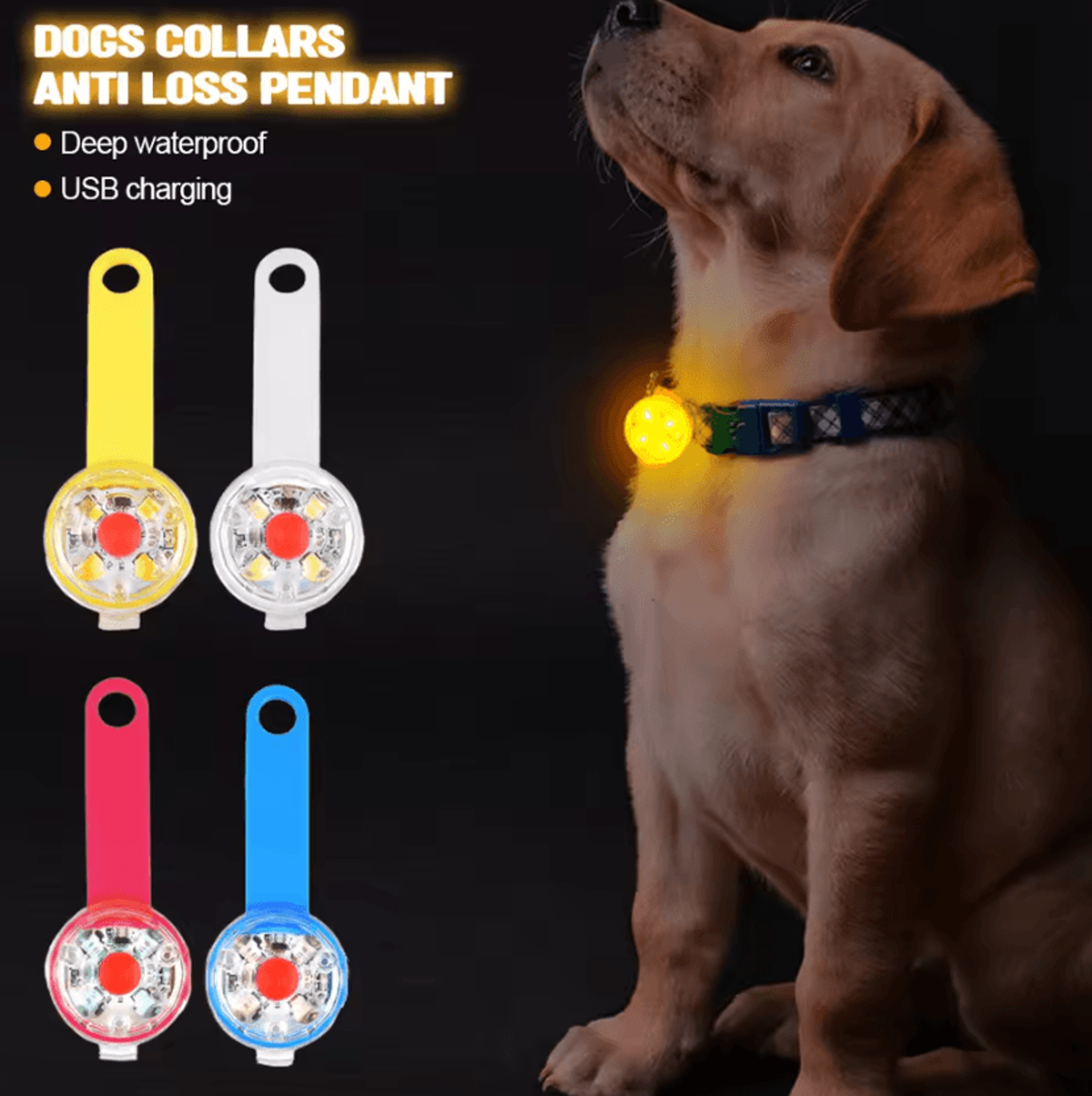usb rechargeable led pet collar safety light pendant