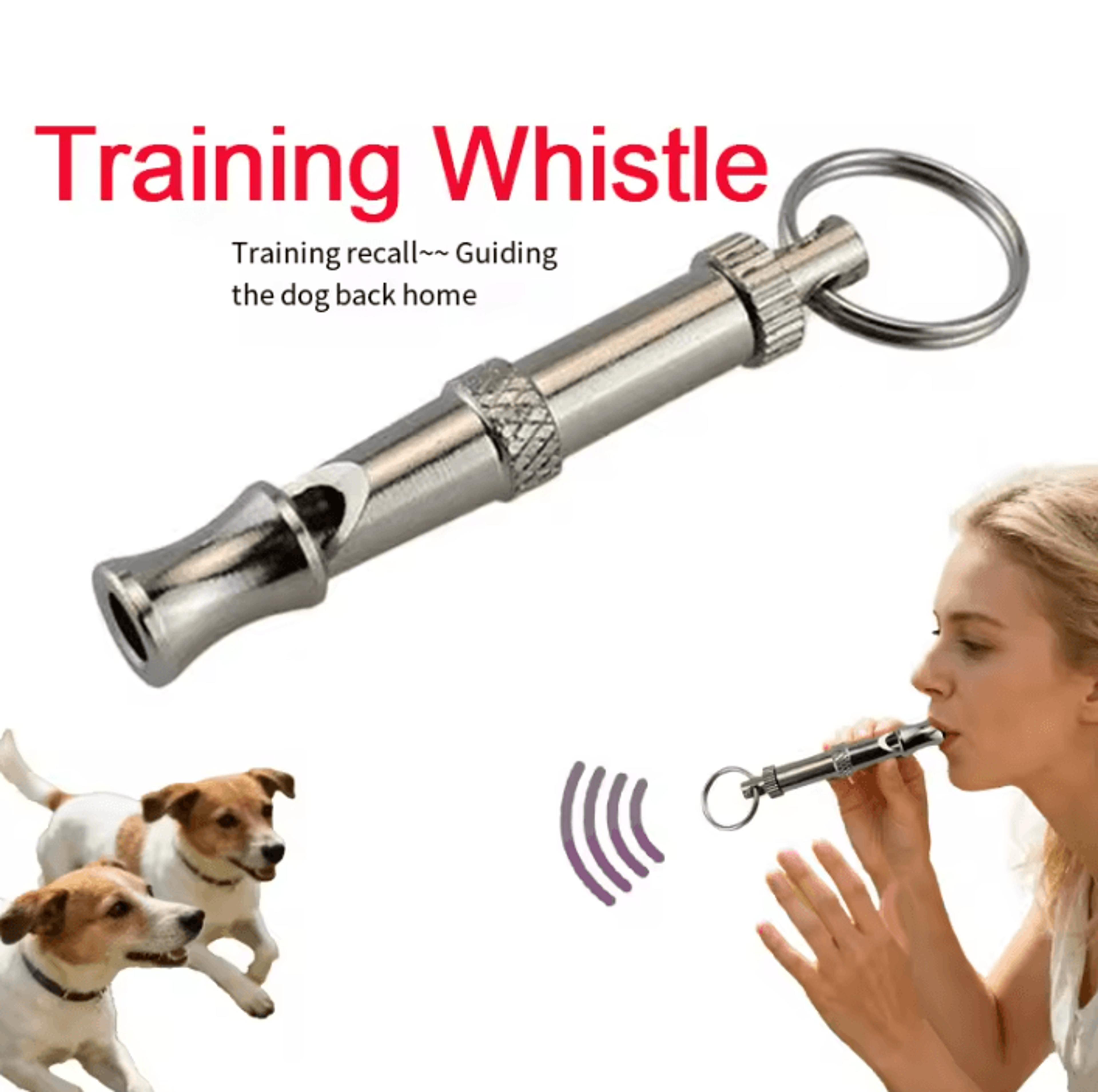 adjustable ultrasonic dog training whistle with lanyard