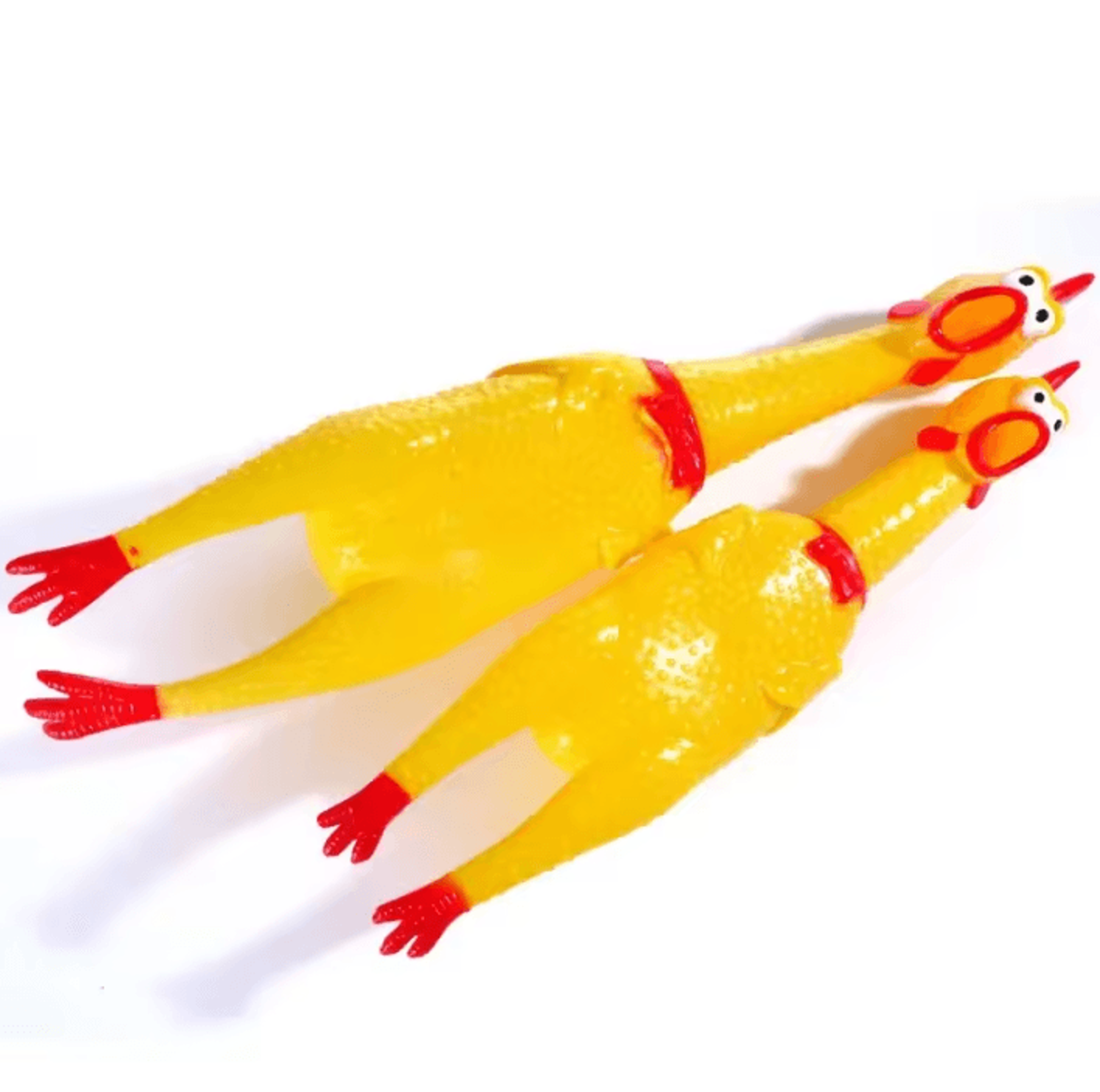 2/3/5pcs screaming chicken squeaky dog toy
