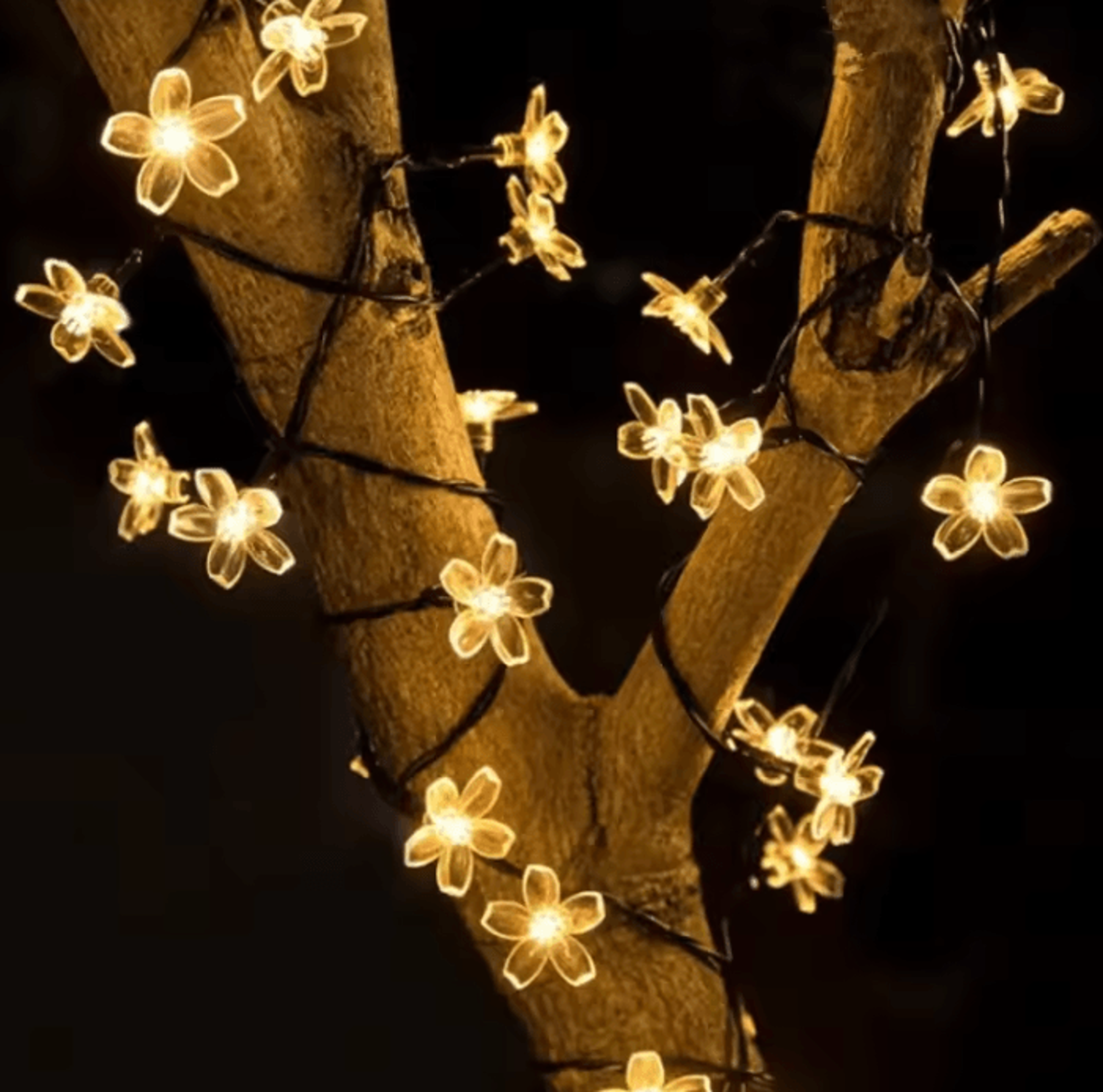 sakuraglow 30 led solar cherry blossom string lights