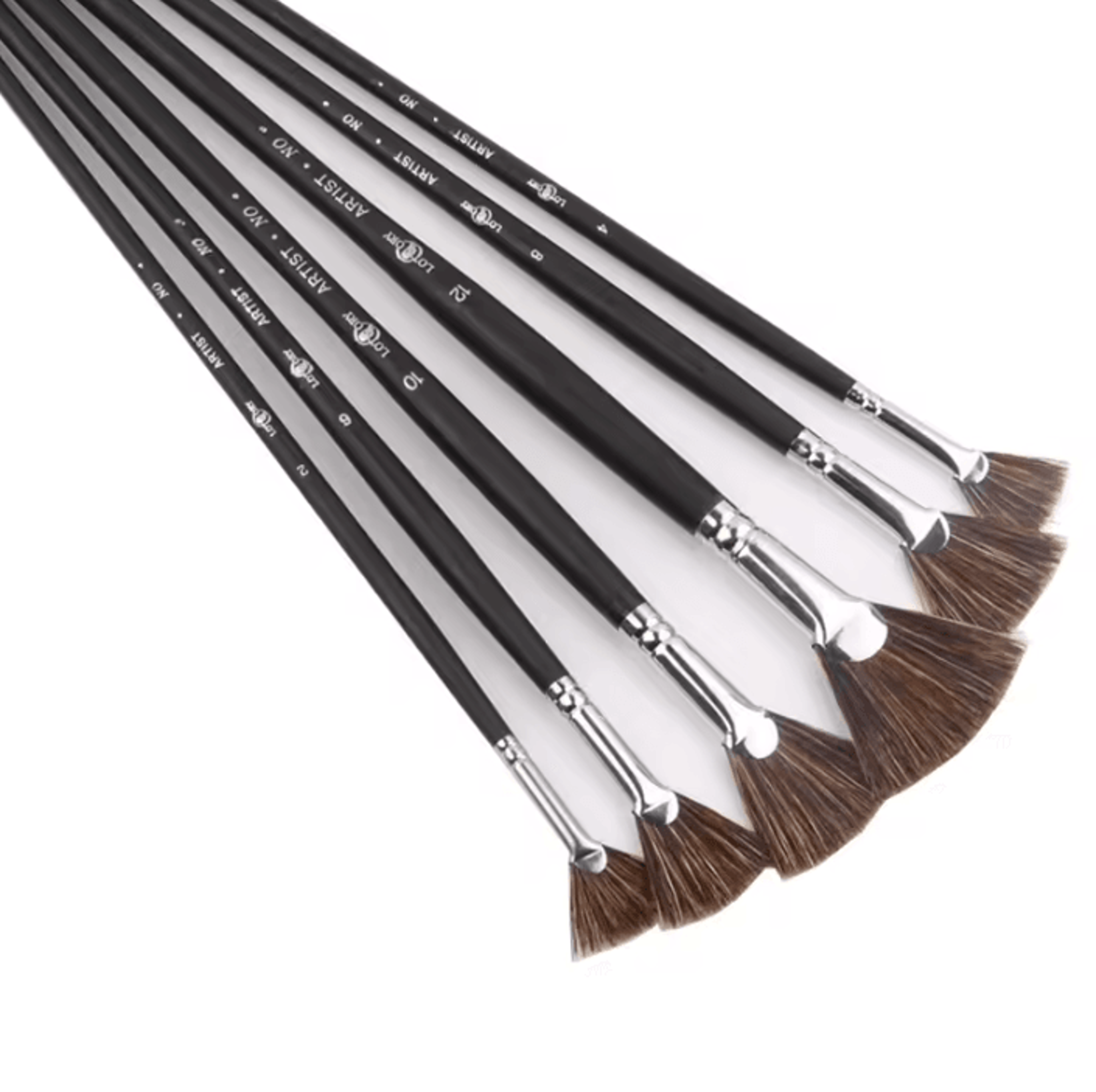 artstroke 6-piece wild boar bristle fan paint brush set for oil painting