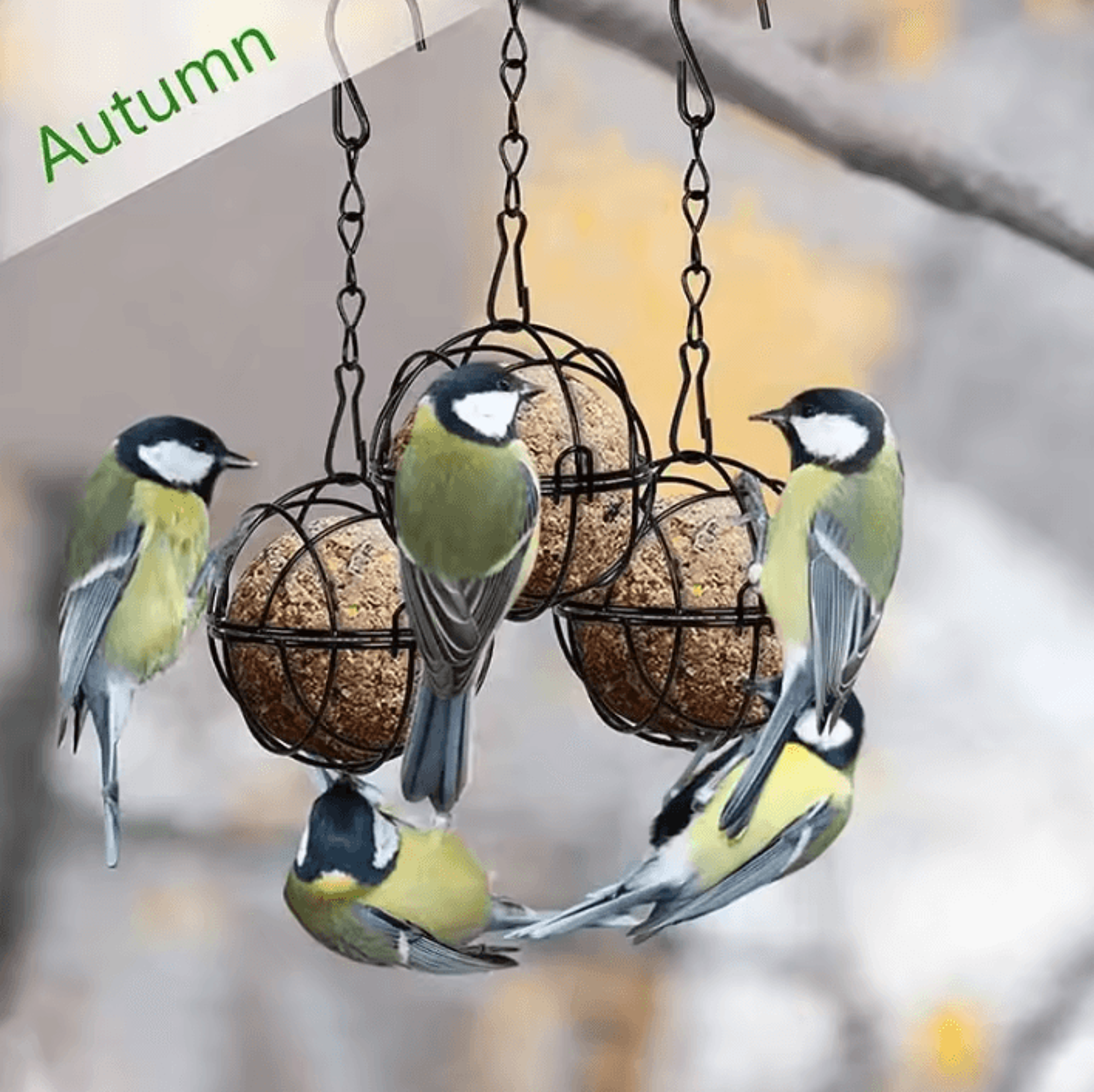 Metal Suet Ball Bird Feeder Hanging Outdoor Garden Bird Feeding Basket With Chain 3