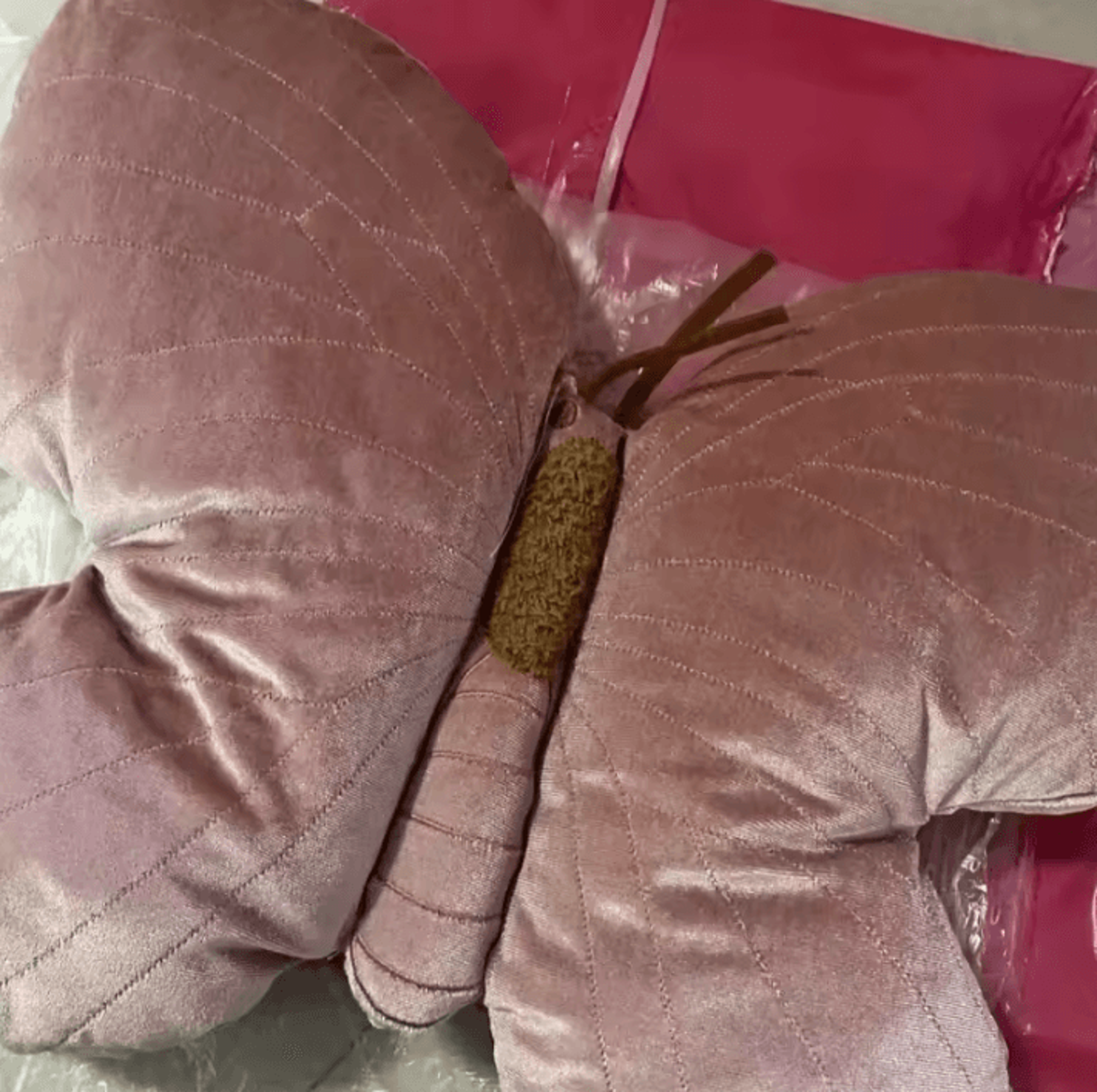 ButterflyDream Plush Decorative Throw Pillow  Pink Butterfly Cushion For Couch  Bed 1