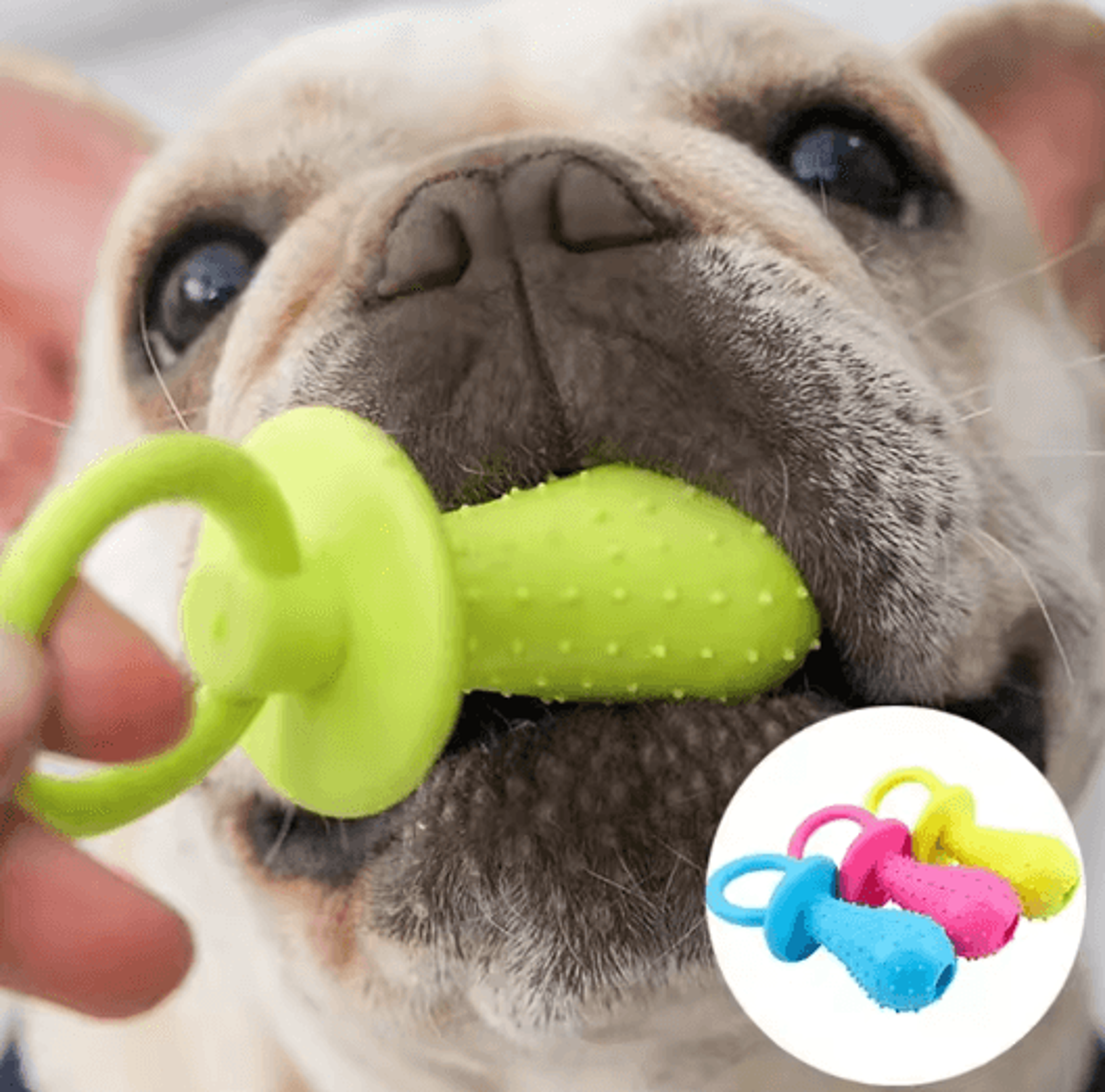 indestructible dog chew toy – teeth cleaning training toy for small, medium & large dogs