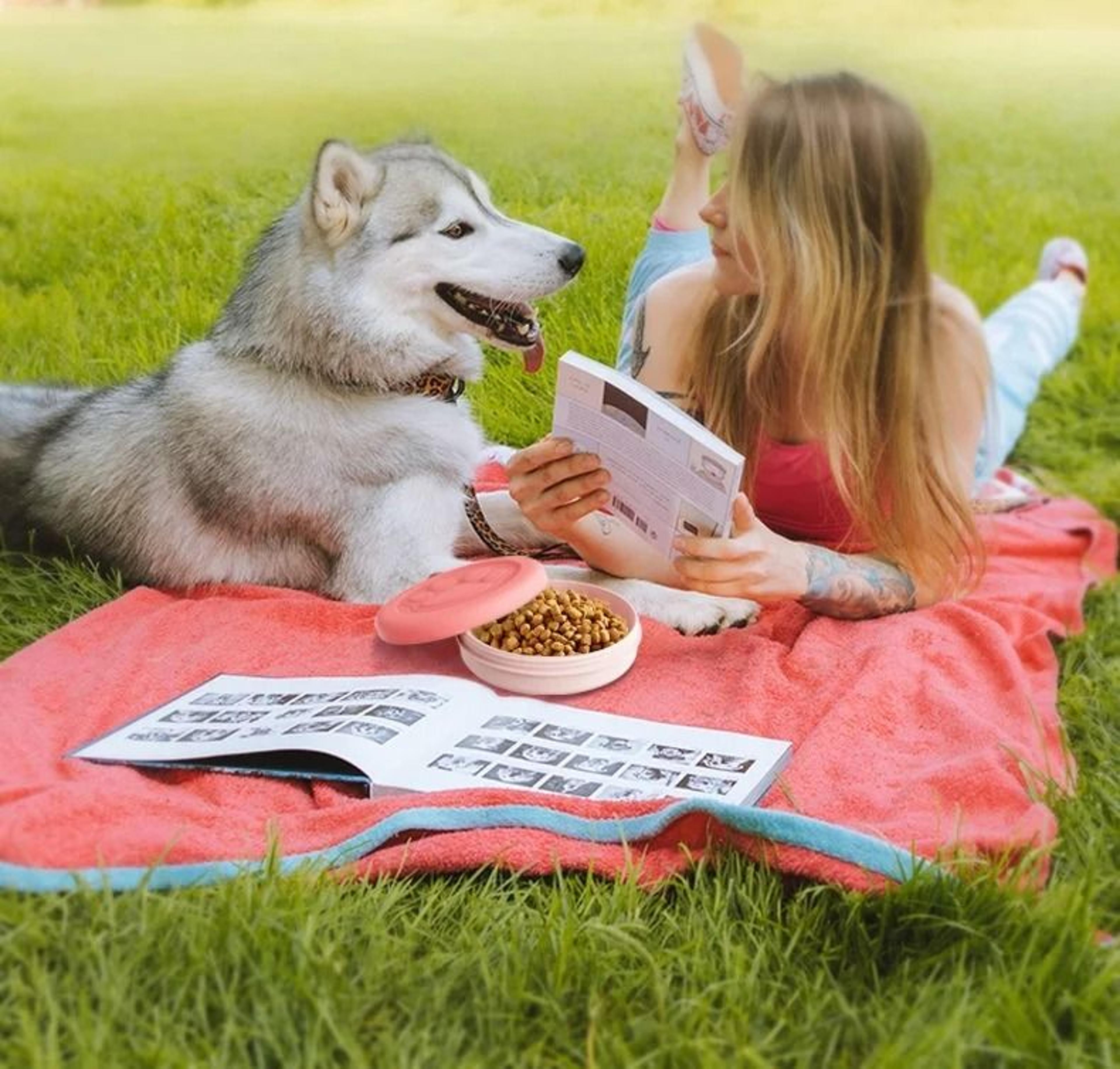 Portable Travel Pet Food And Water Bowl 3