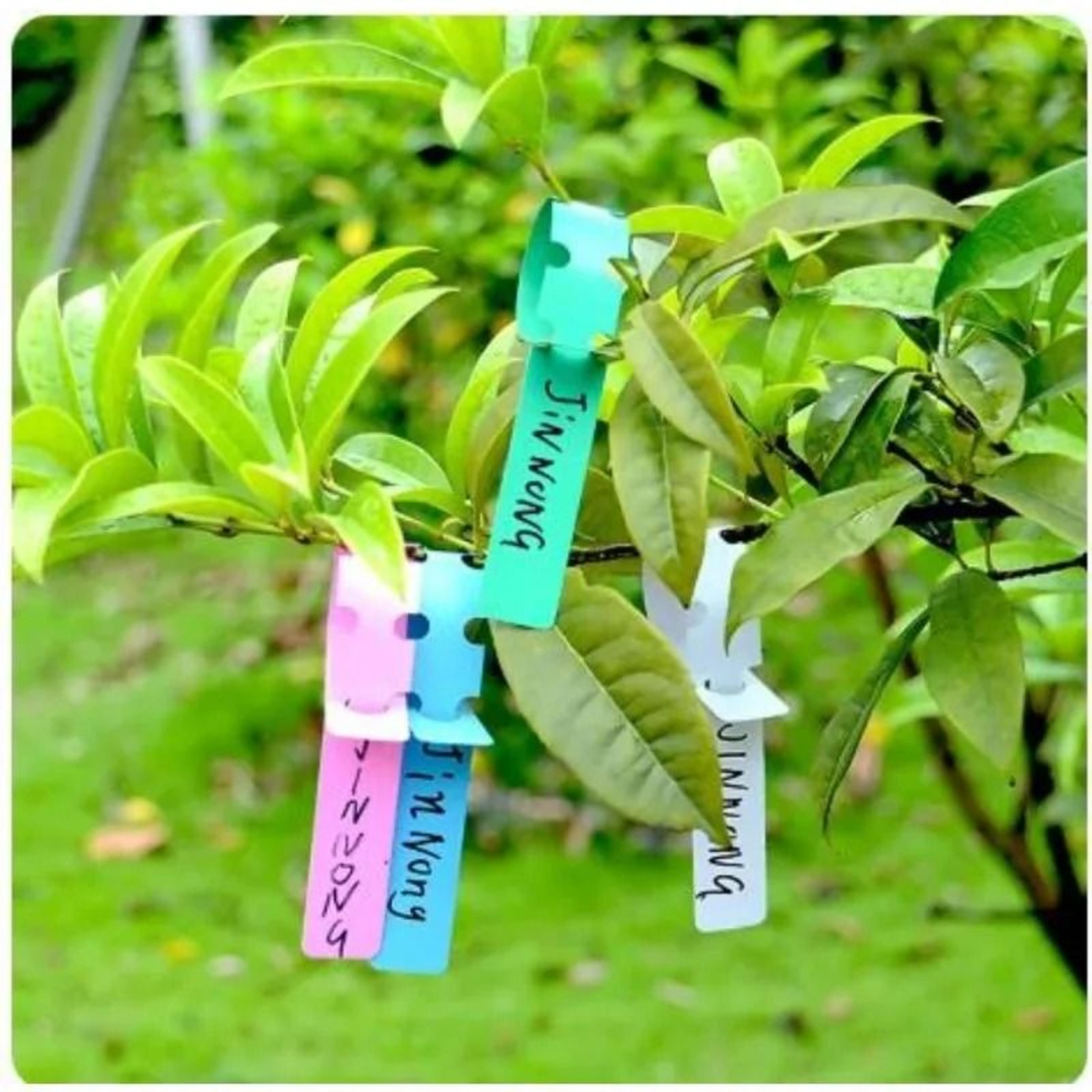 100 Pack Waterproof Plant Labels Hanging Garden Tags PVC 1