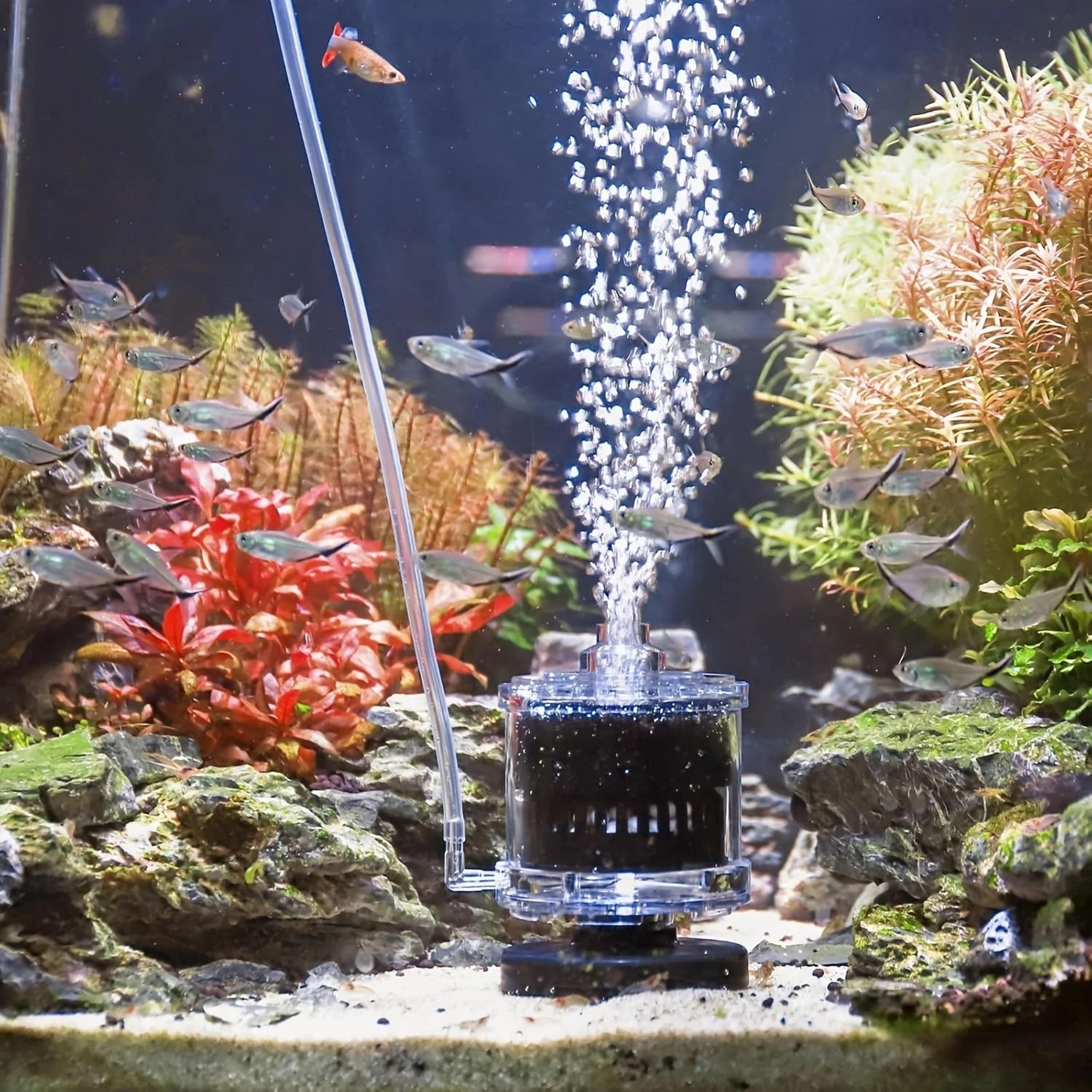 compact self-cleaning fish tank filter silent pump with bio-oxygenation for nano aquariums
