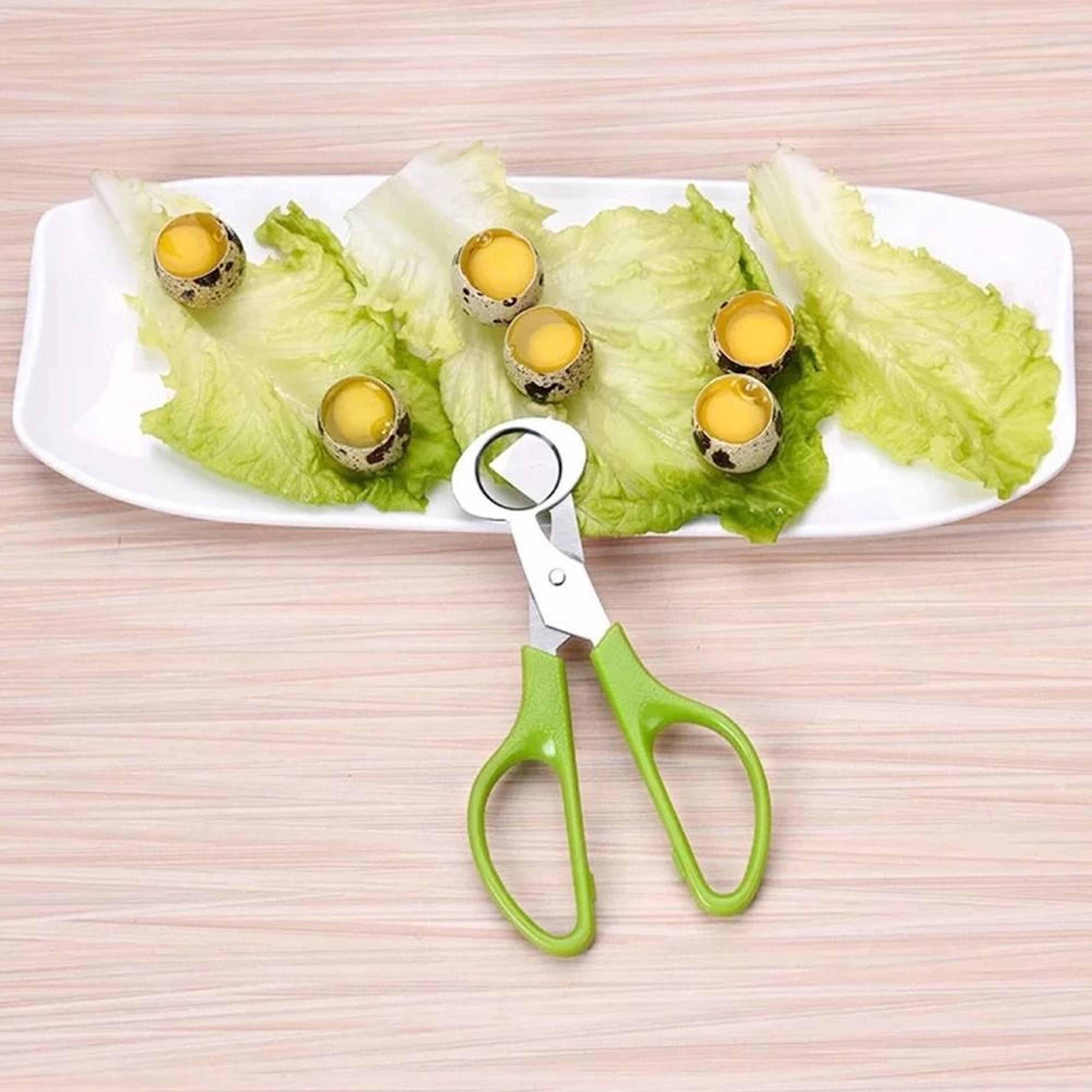 stainless steel quail egg shell cutter scissors and multifunction cigar clipper