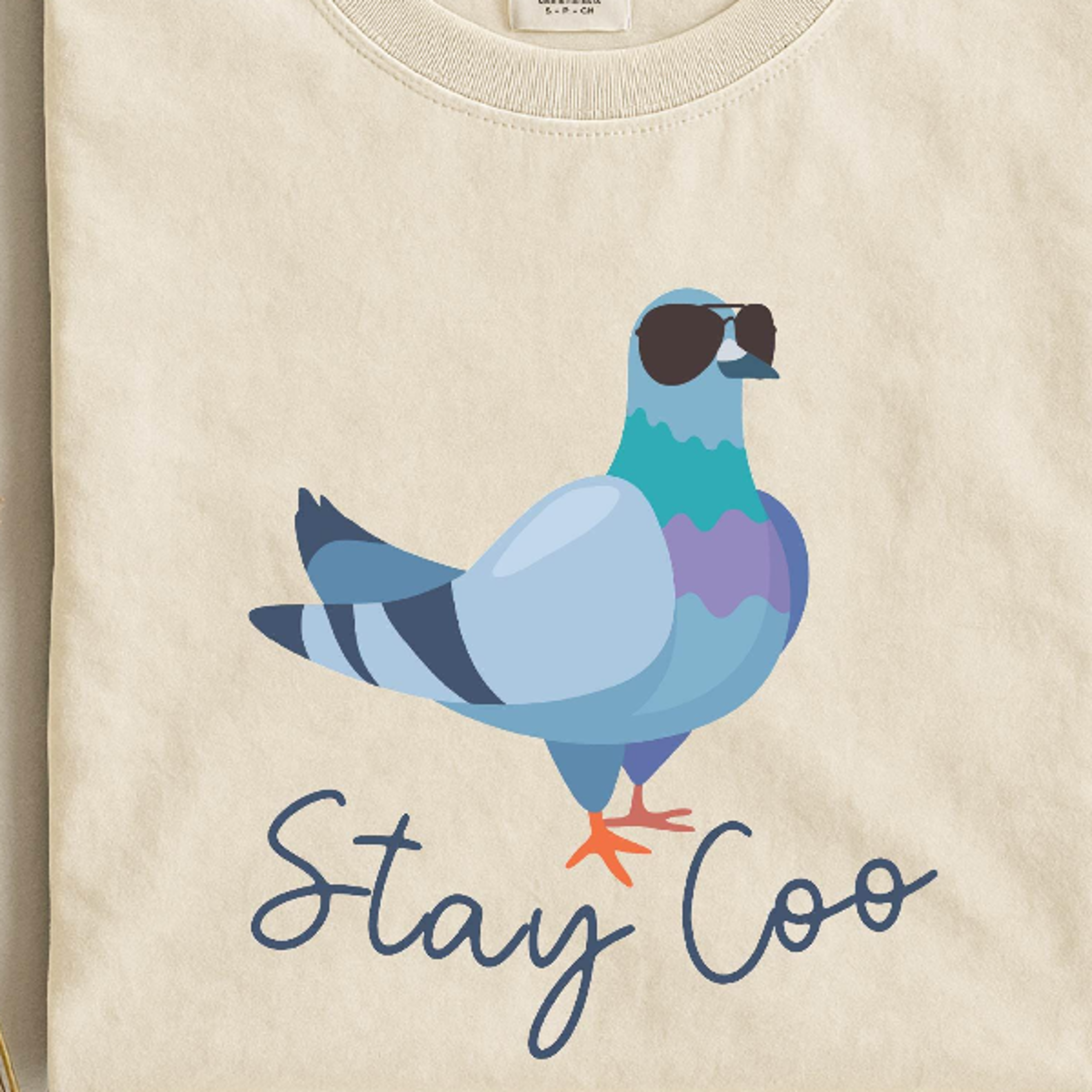 stay coo shirt, bird meme saying tee, pigeon lover sweater, funny pidgeon sweatshirt, birding comfort colors t-shirt