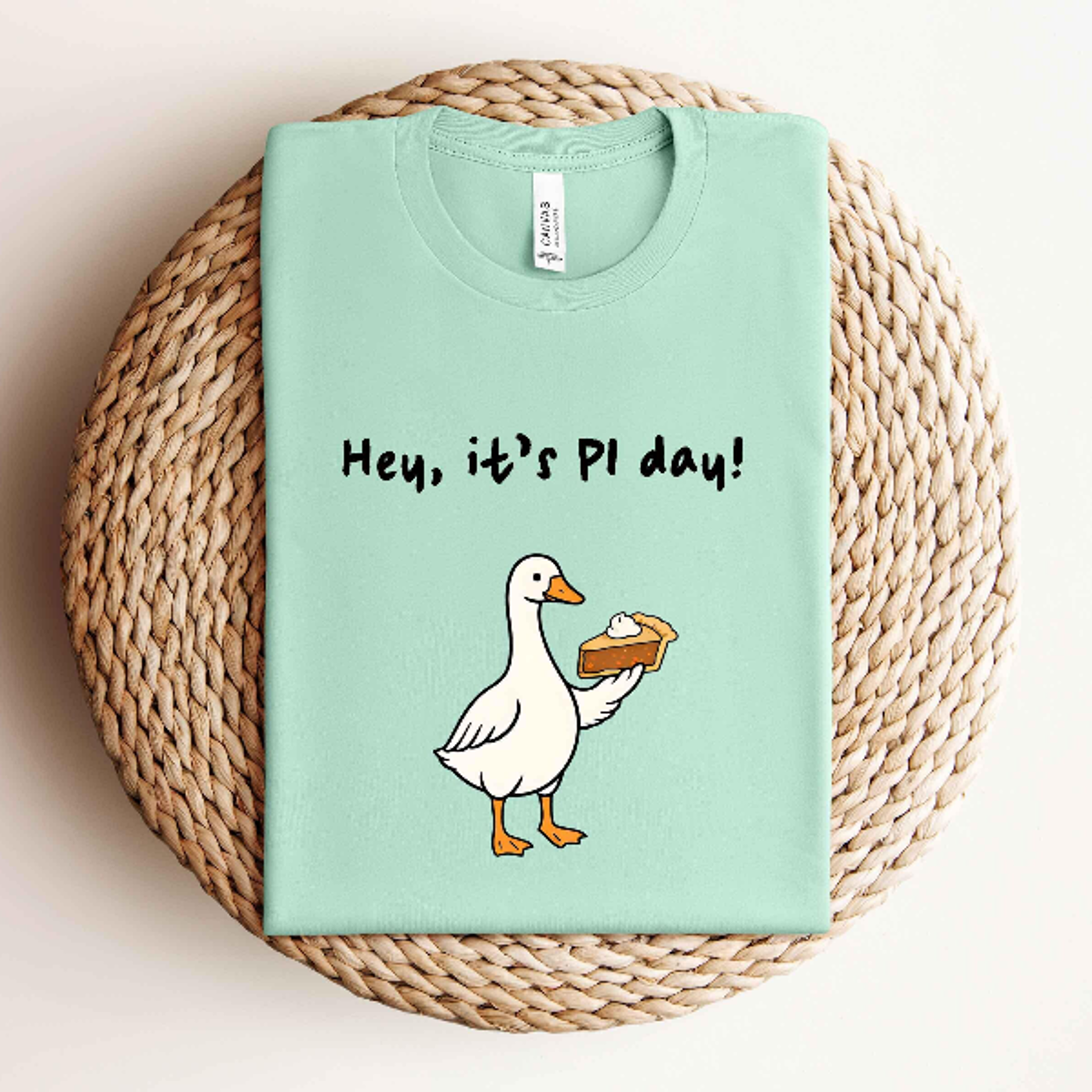 hey it's pi day, silly goose pi day shirt, math teacher shirt, funny pi day, nerdy math, stem teacher gift