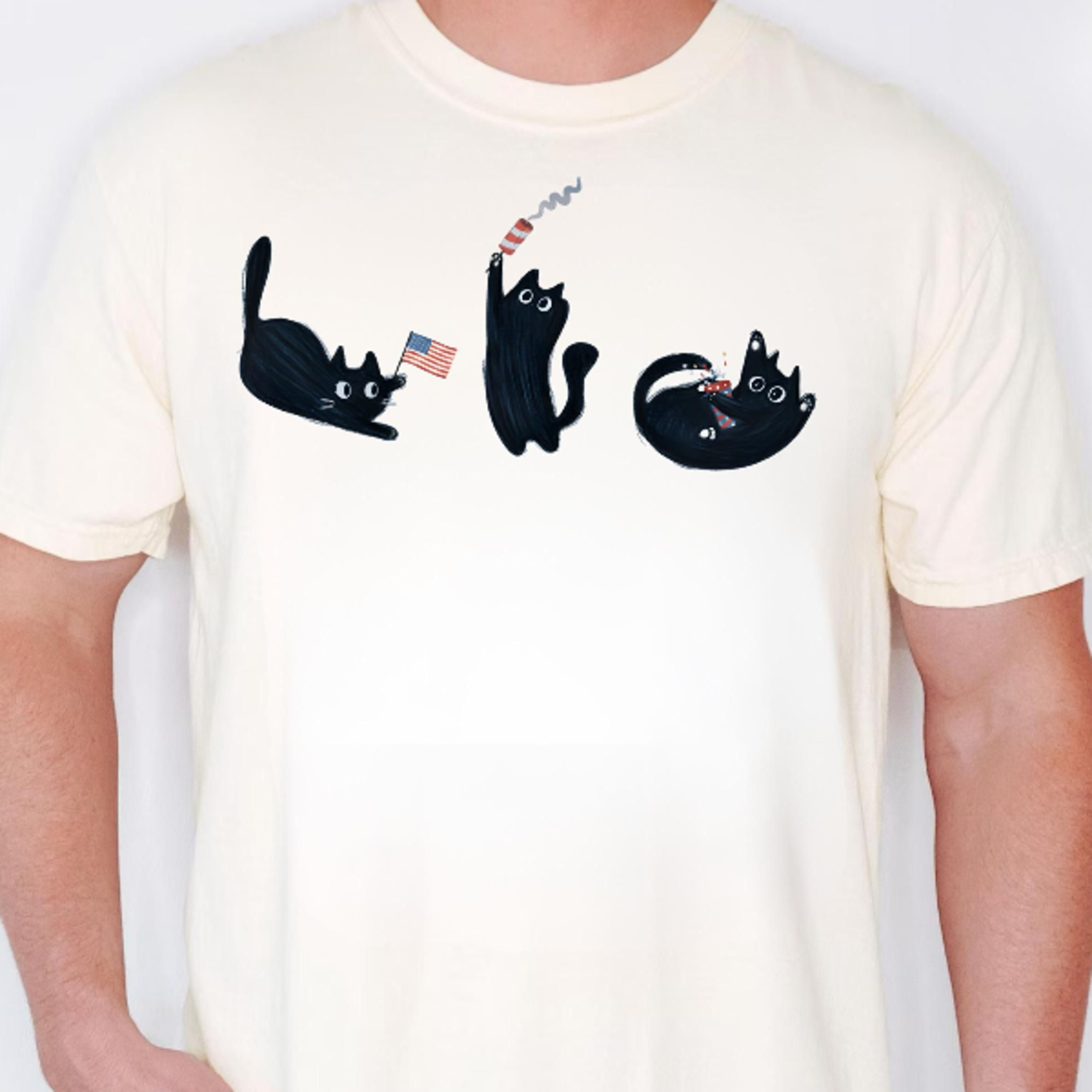 funny cat 1776 usa 250th anniversary patriotic 4th of july tee