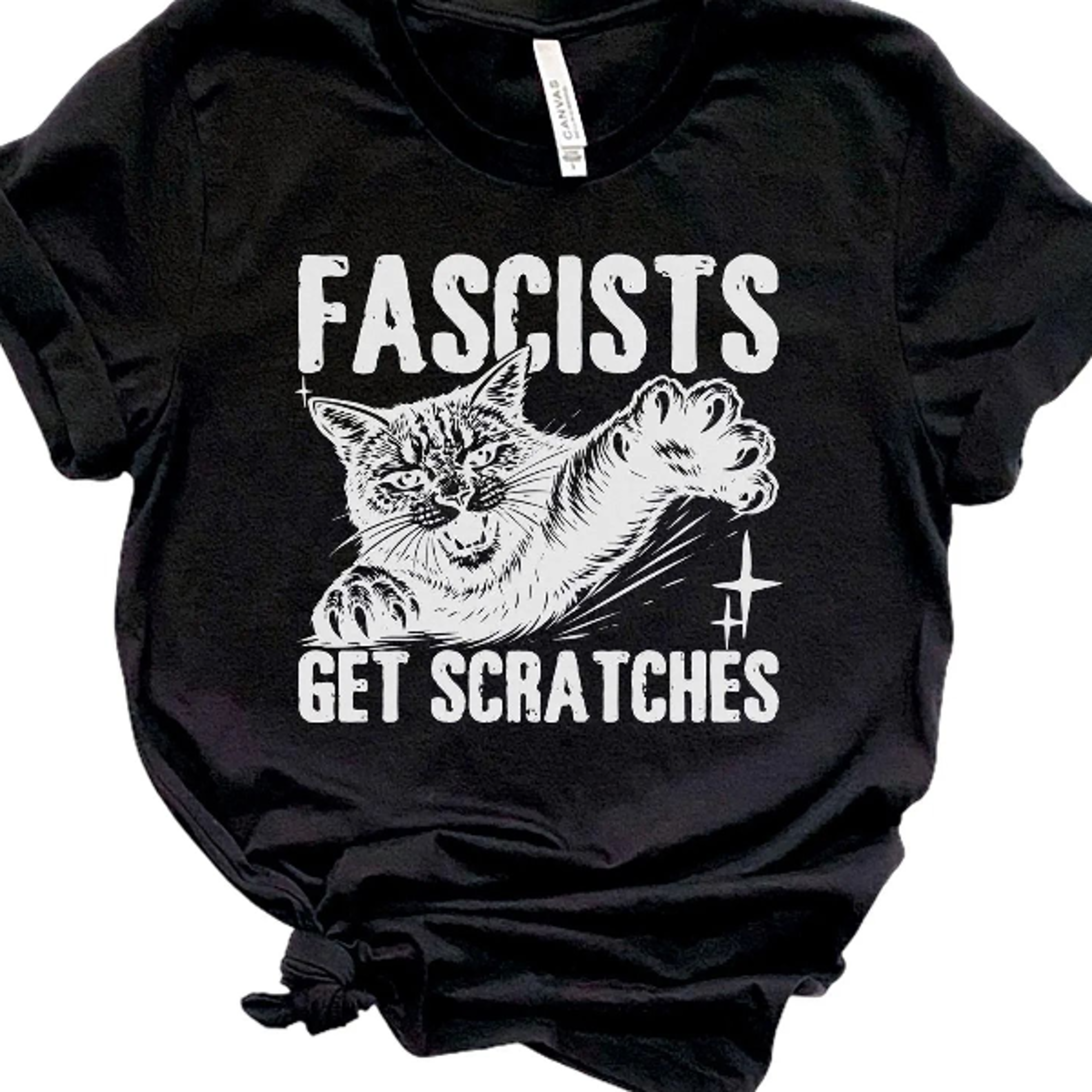 fascists get scratches shirt, anti fascism tee, resistance shirt, political activist t-shirt, protest graphic tee,