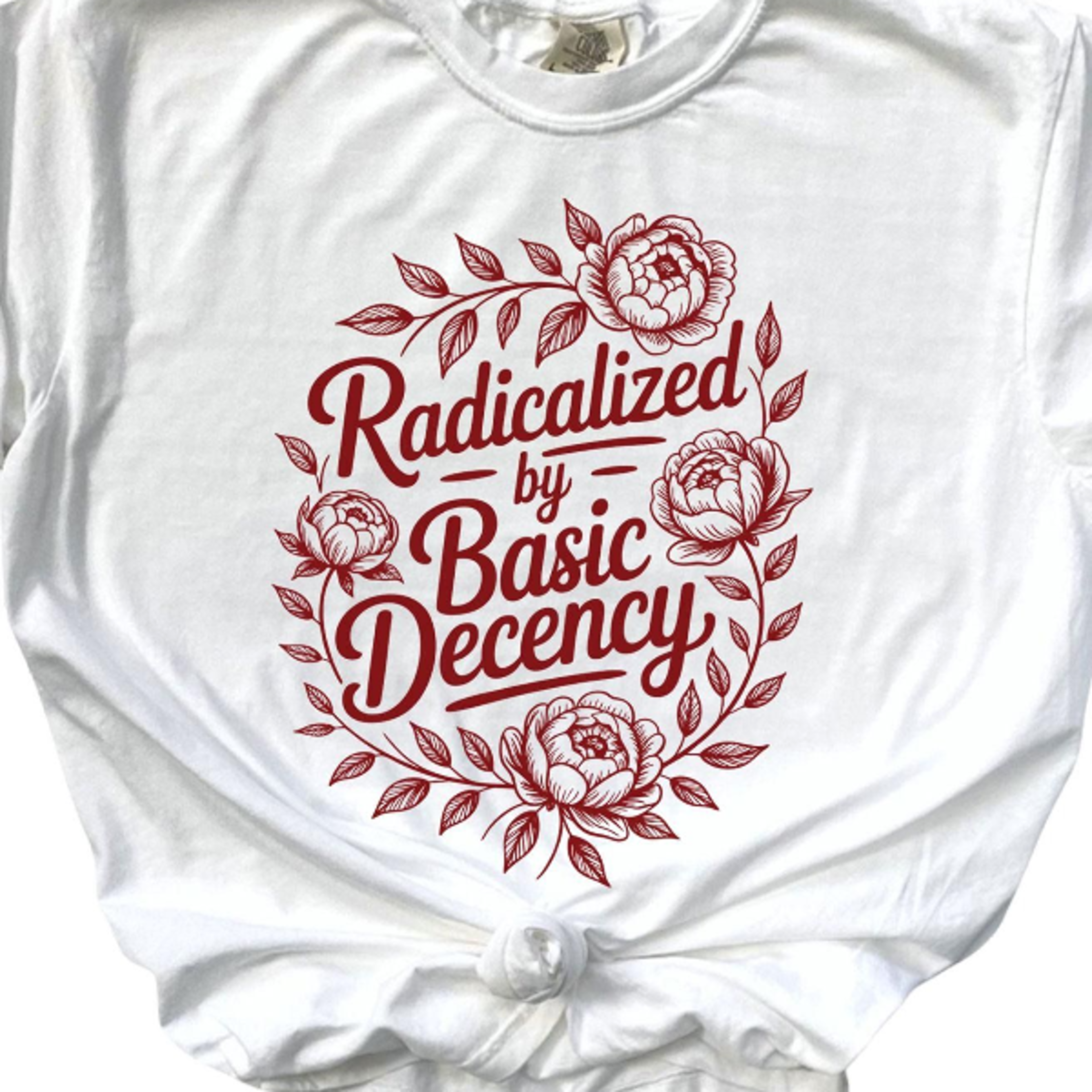 radicalized by basic decency shirt, human rights tee, protest t-shirt, equality shirt, social justice graphic tee