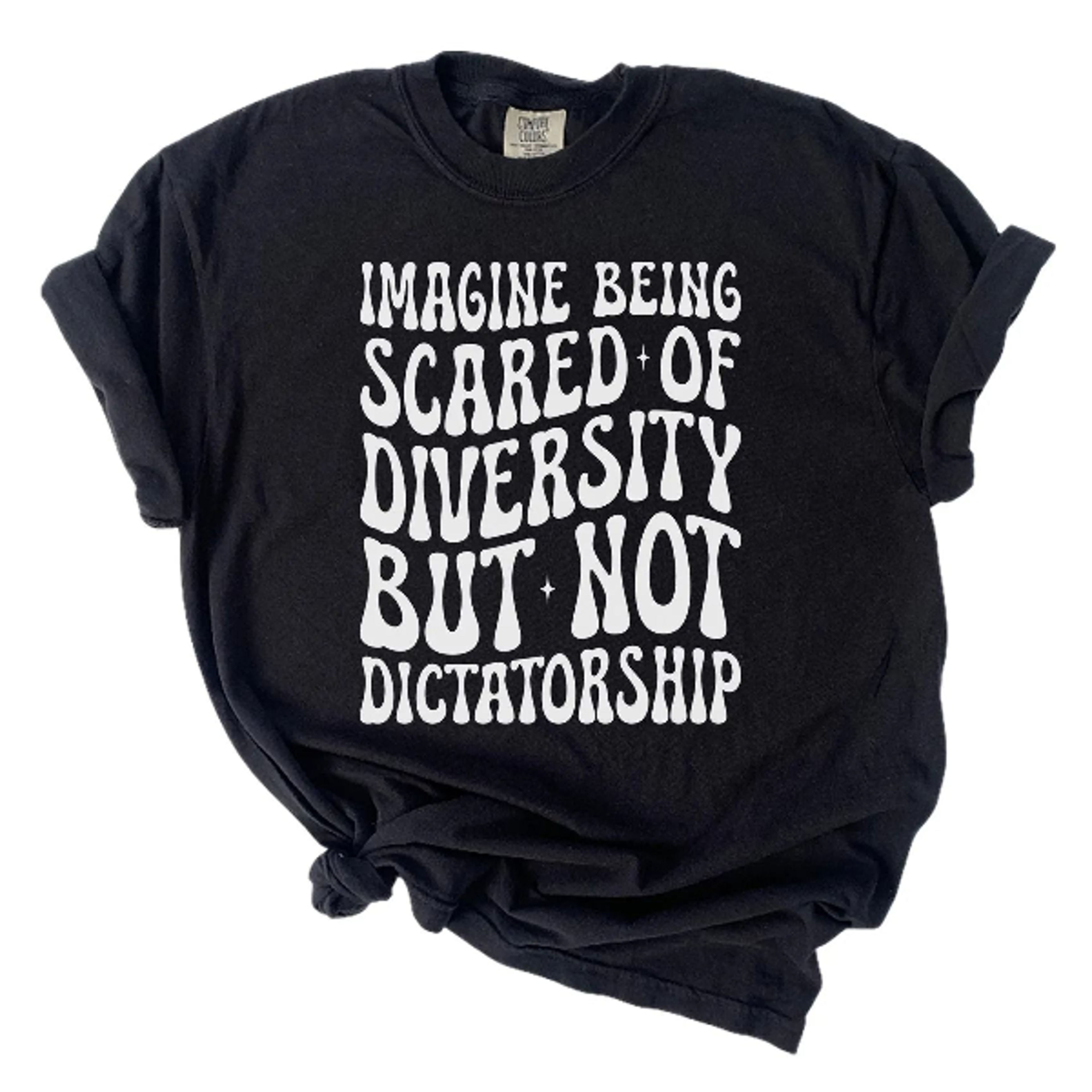 imagine being scared of diversity shirt, human rights tee, activist t-shirt, equality shirt, protest shirt