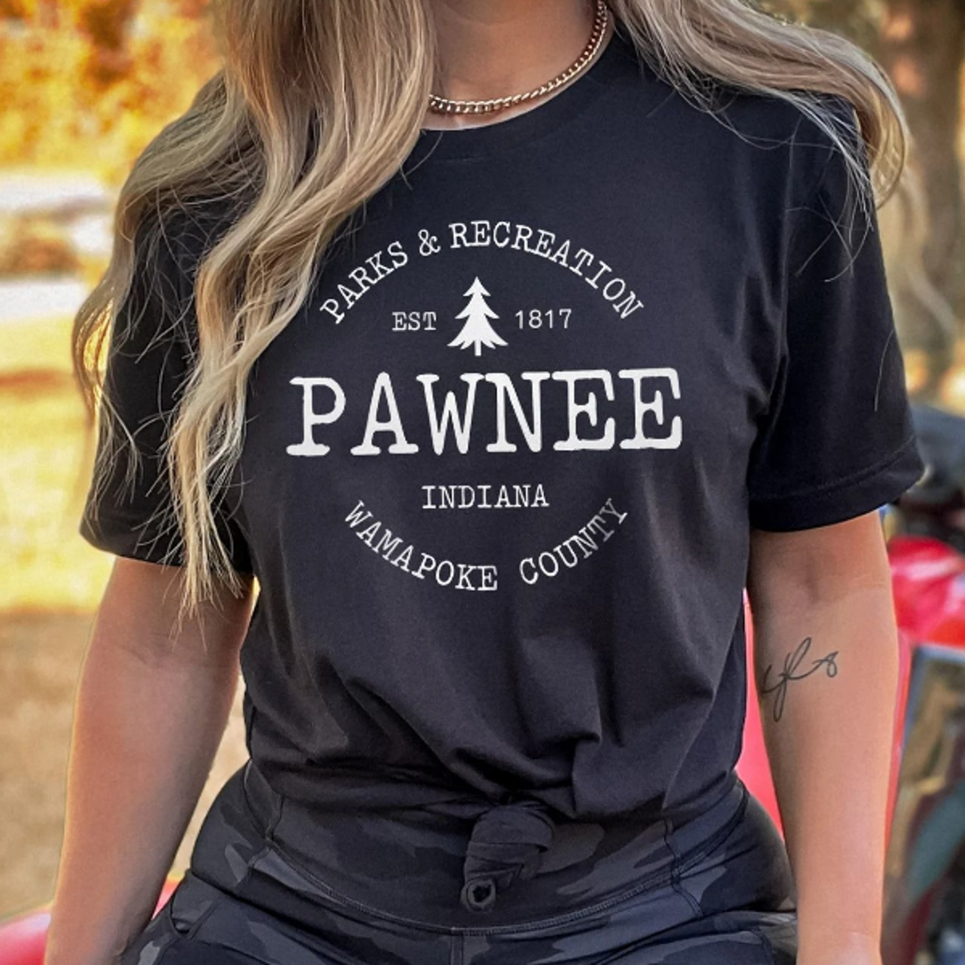 pawnee vintage shirt, parks and rec retro tee, pawnee nature shirt, vintage retro shirt