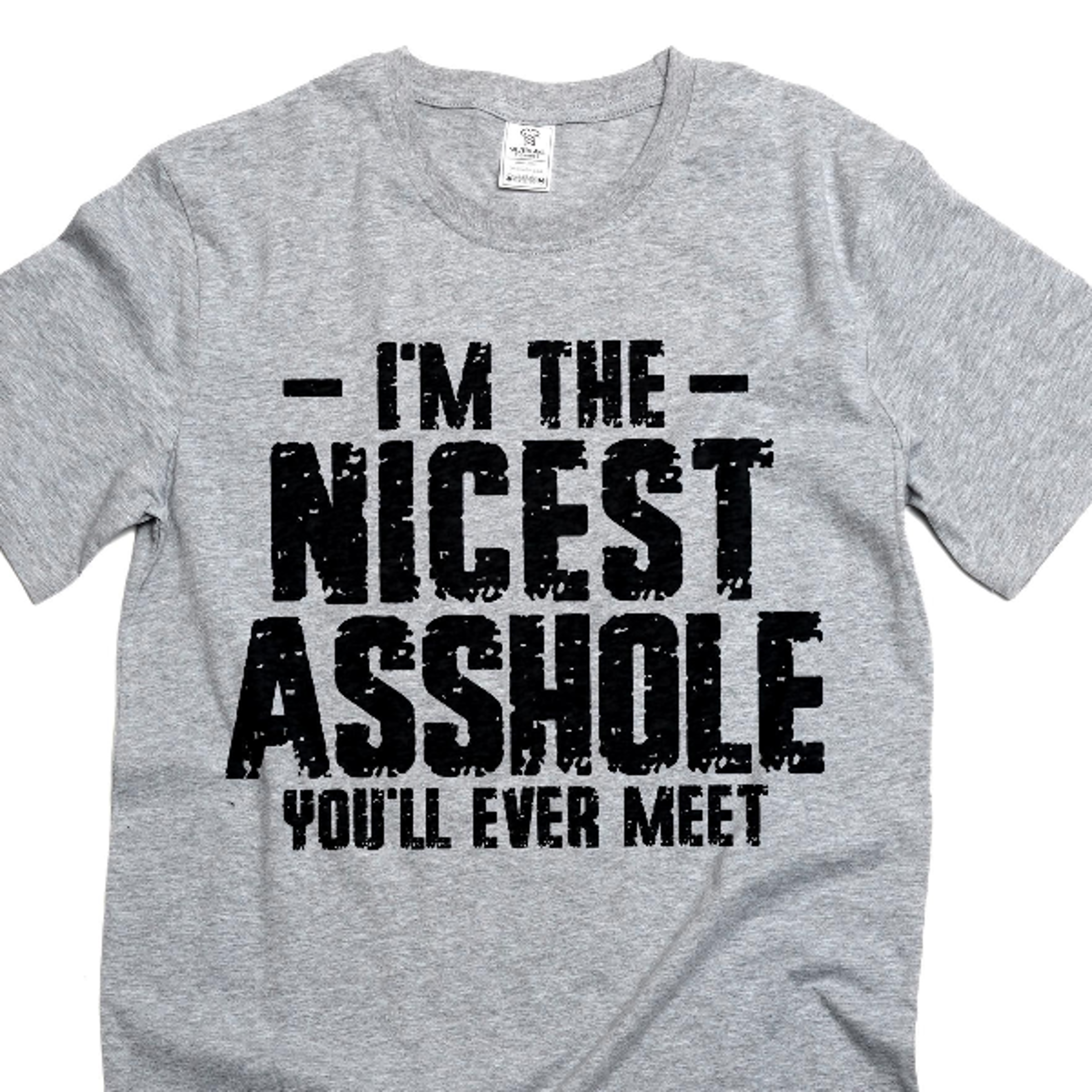 men's funny nicest ahole t-shirt humorous tee shirt gift tee adult humor tee shirt