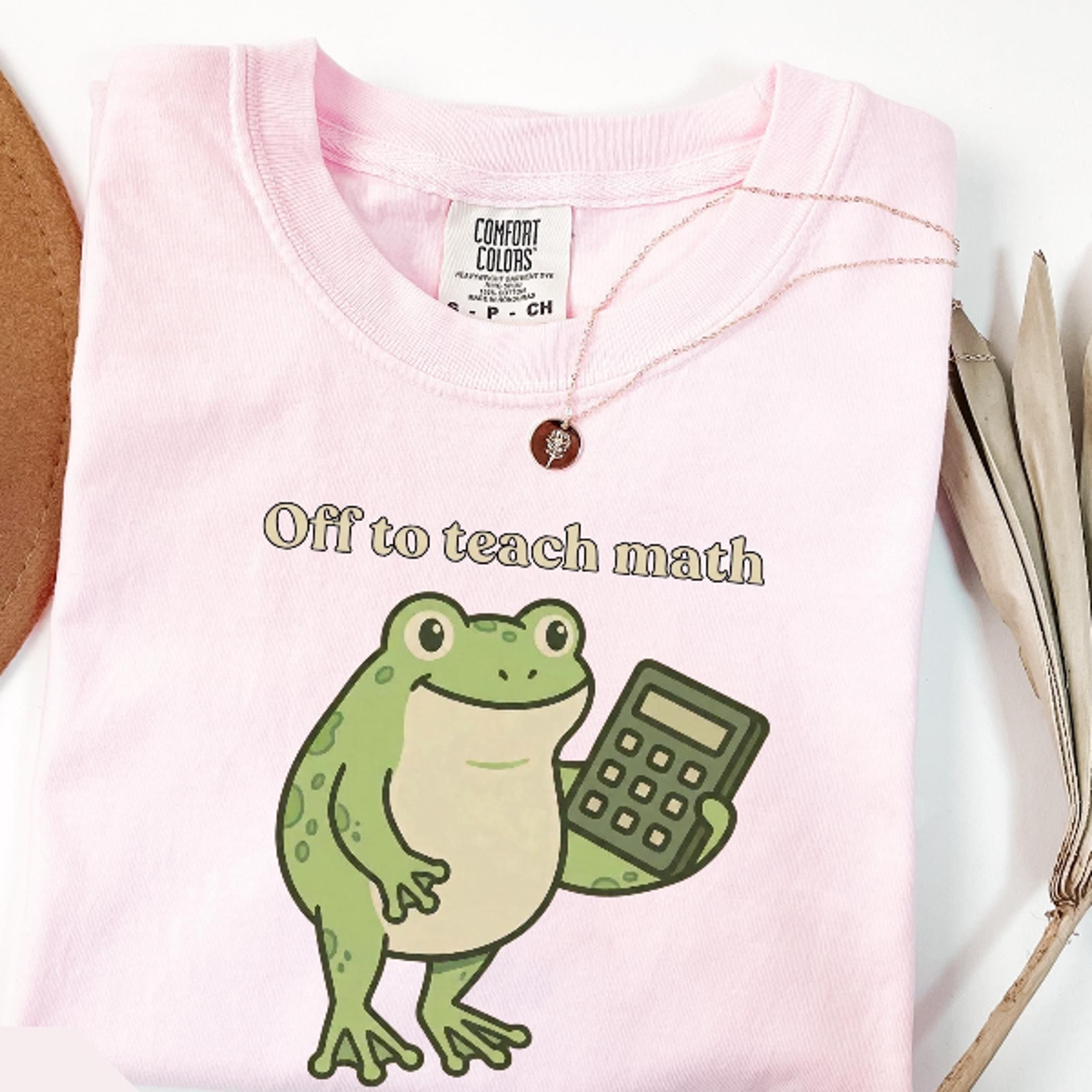 comfort colors math teacher frog shirt, funny mathematics educator gift, off to teach math tee, future math teacher top