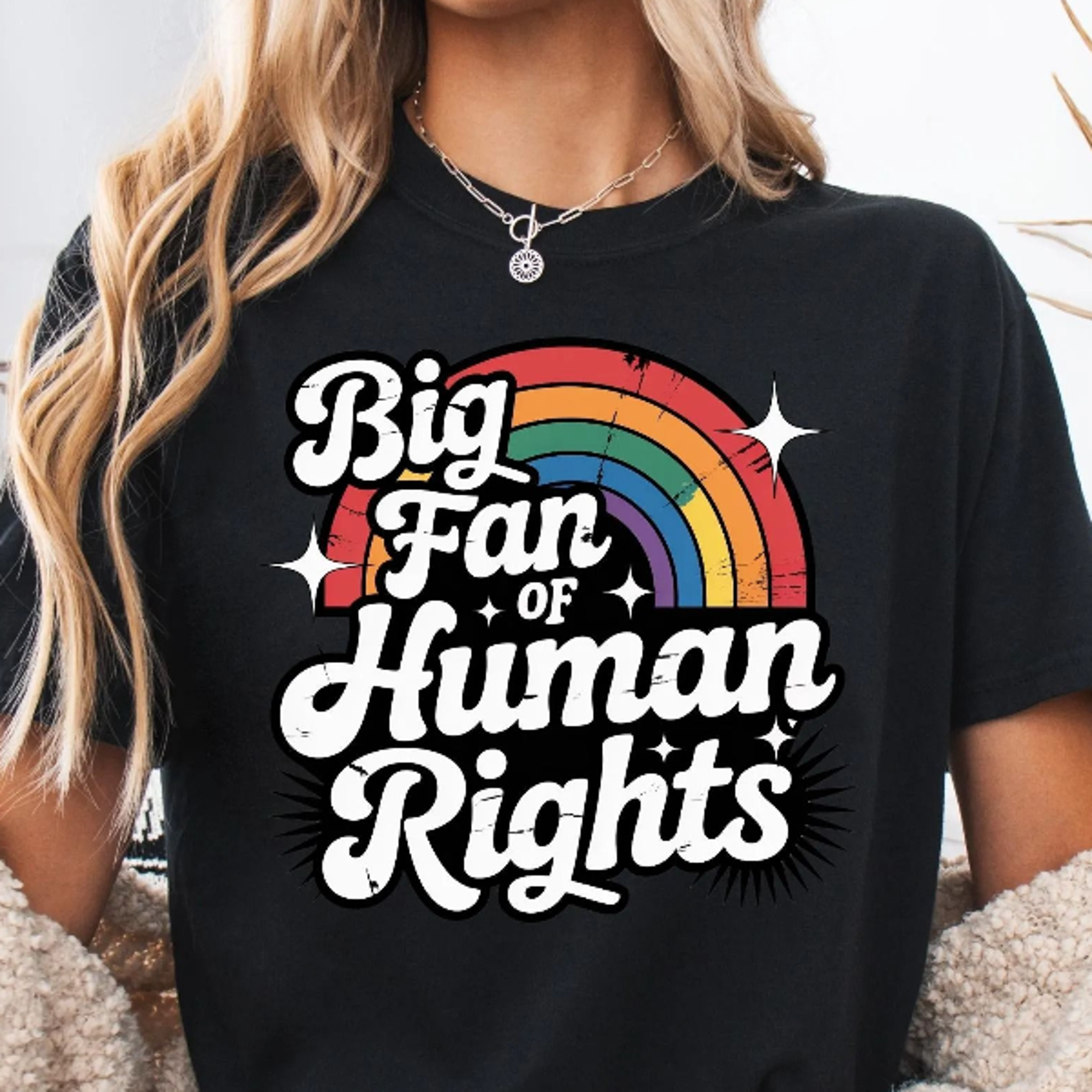 comfort colors big fan of human rights shirt, retro rainbow shirt, social justice advocate tee, human rights activist t
