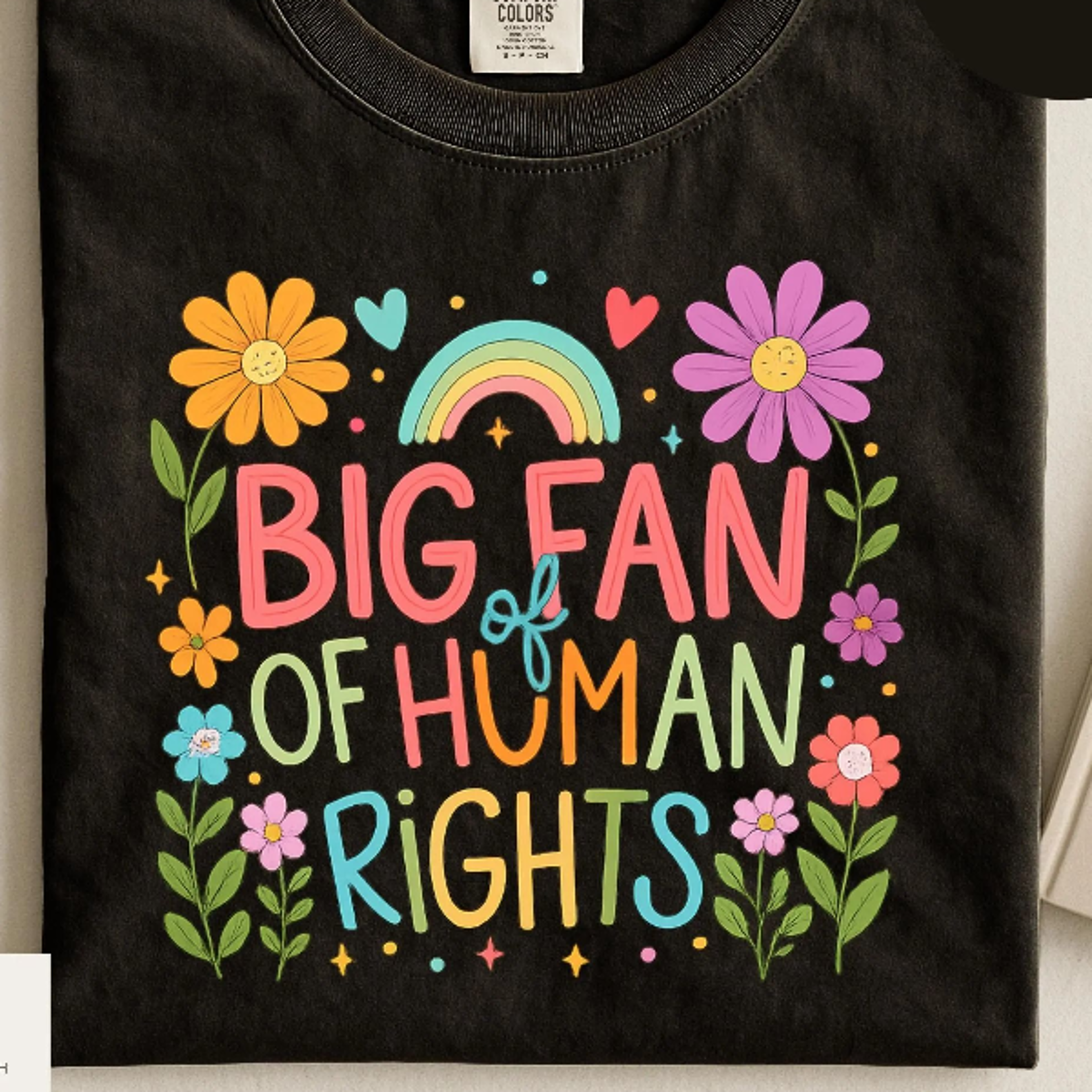 comfort colors big fan of human rights retro shirt, equality sweatshirt, radicalized by basic decency tshirt
