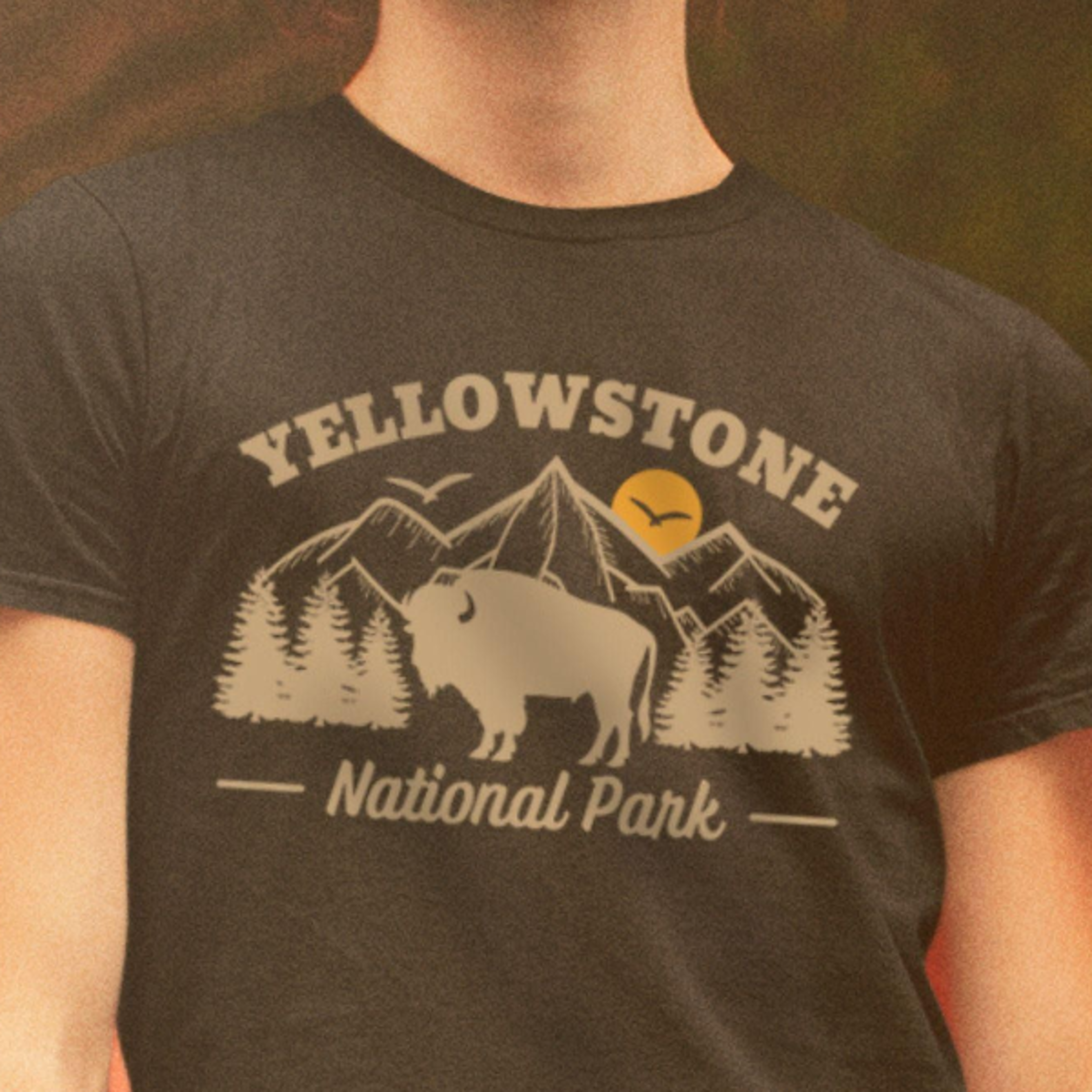 yellowstone national park shirt, retro national park shirt, yellowstone shirt, bison shirt, granola girl tee, national p