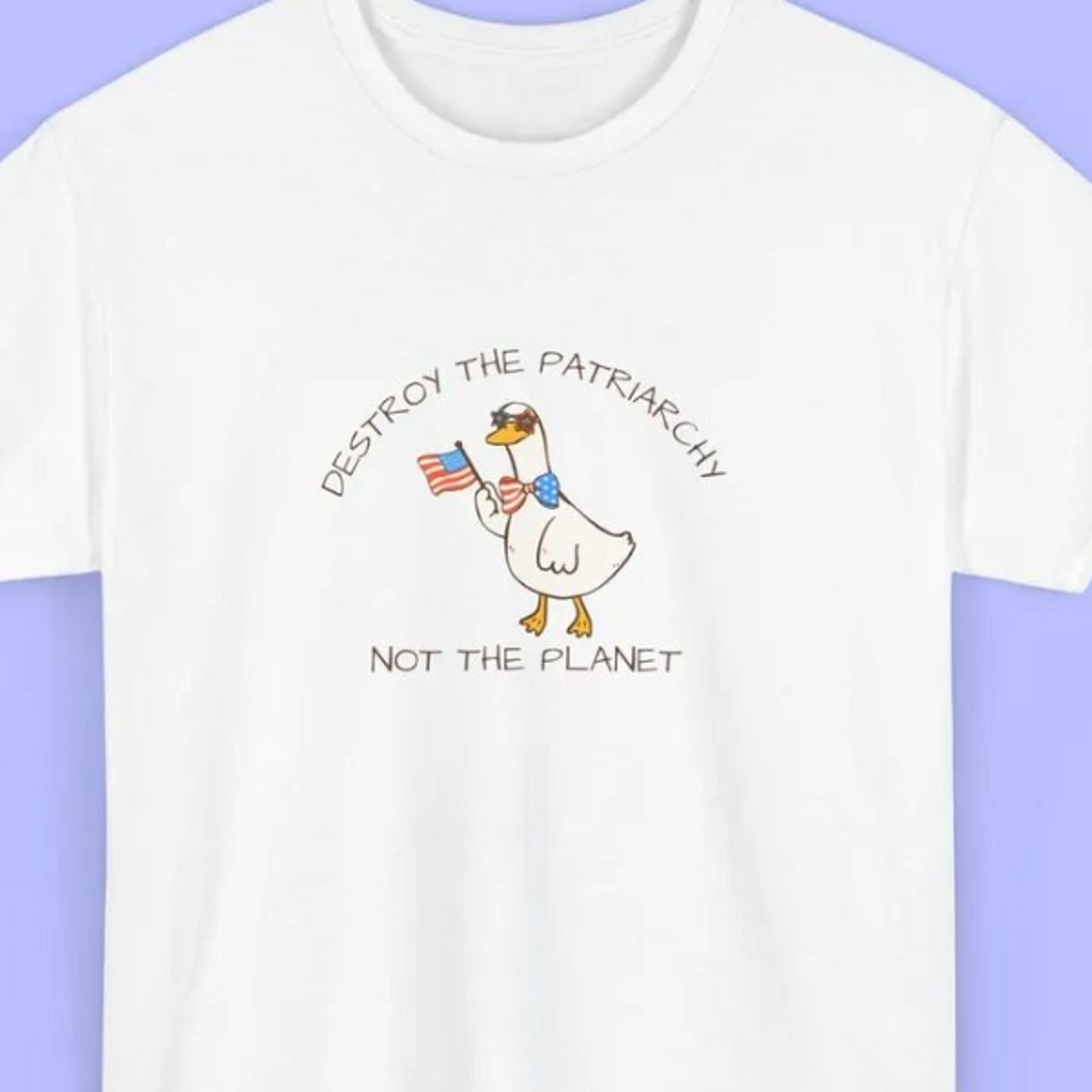 destroy the patriarchy not the planet shirt funny feminist goose tee usa flag eco doodle 4th of july climate gift sustai