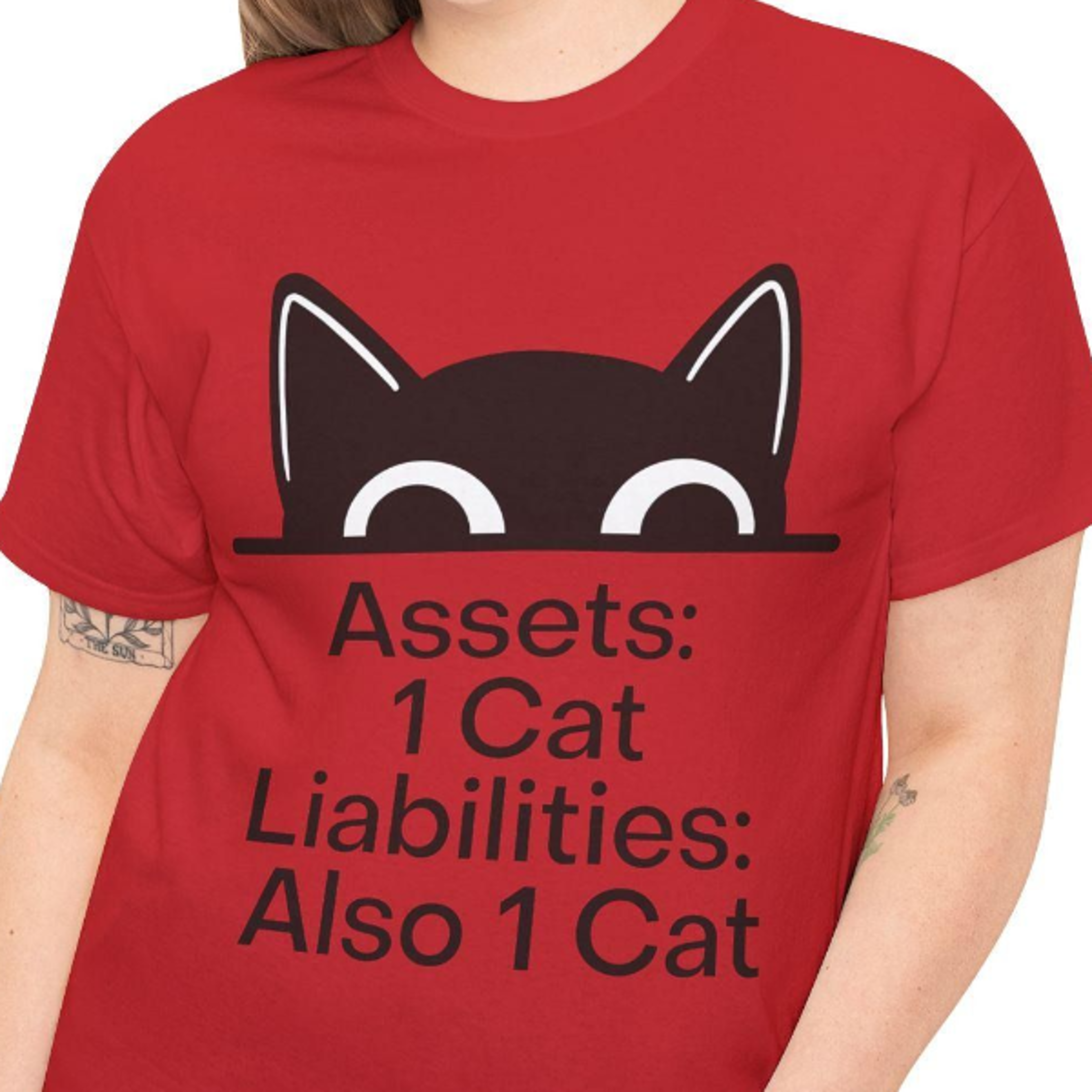 accountant cat lover t-shirt, funny accounting pun shirt