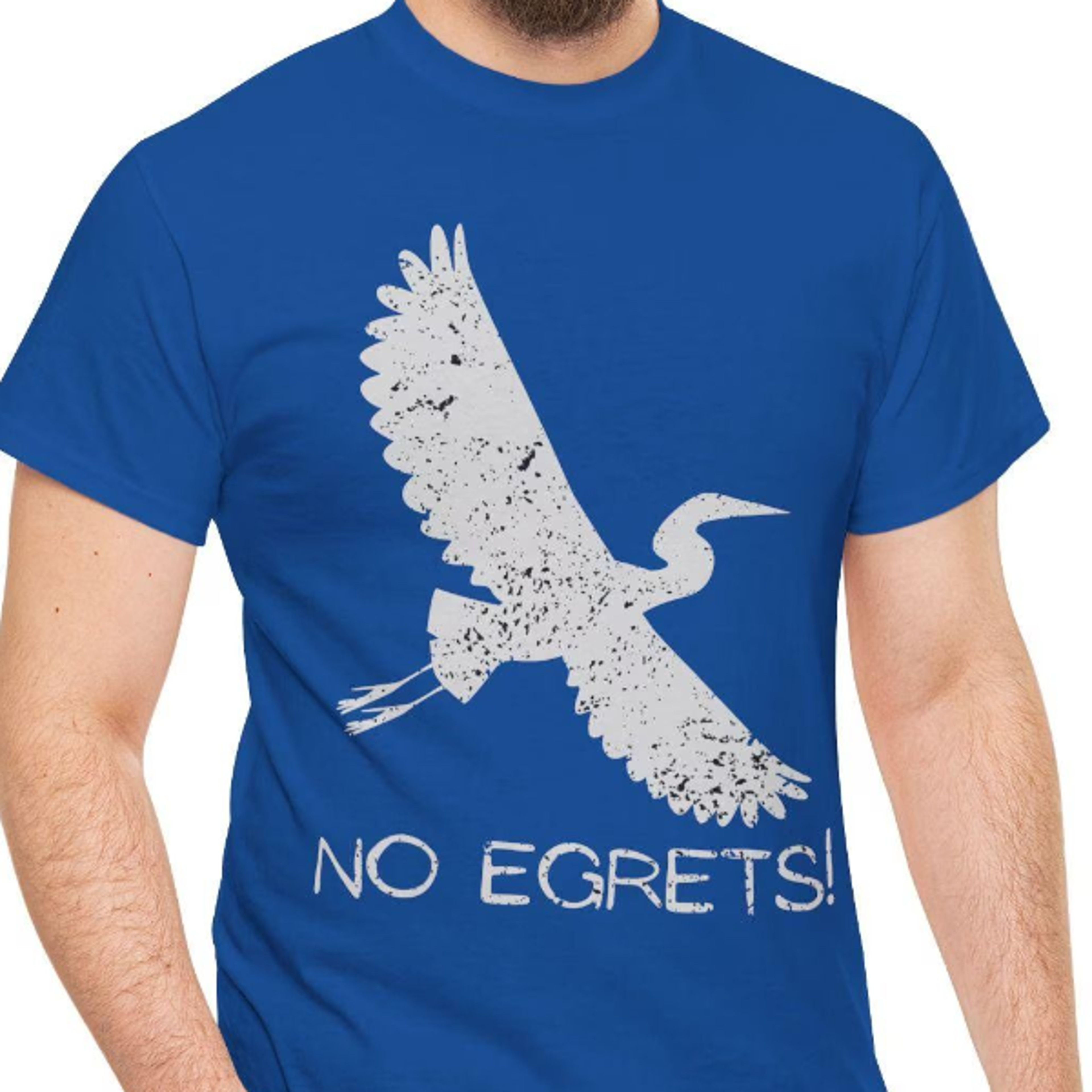 funny egret t-shirt, gift for bird fans, animal pun tee, t-shirt "no egrets"