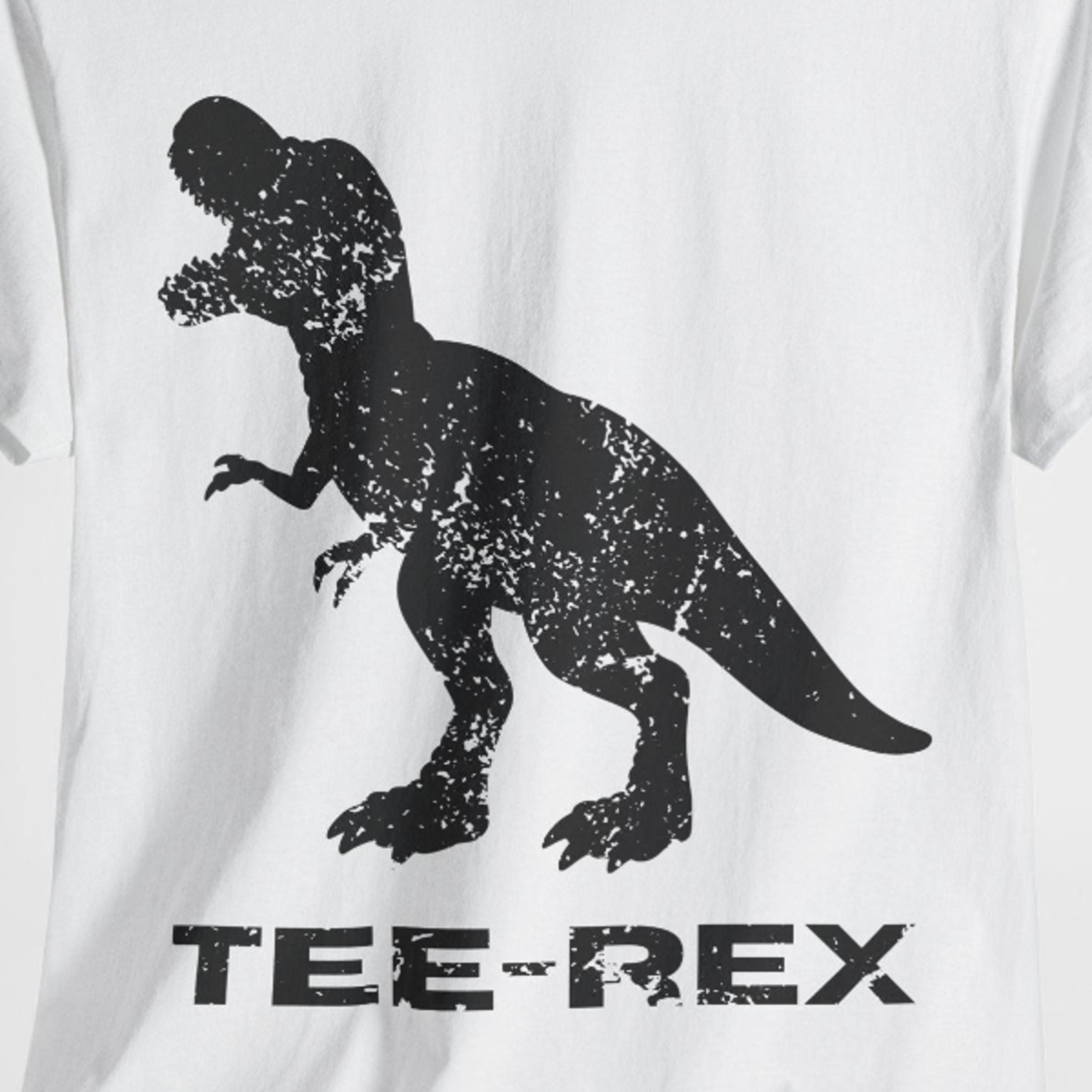 funny tee-rex dinosaur t-shirt, palaeontologist gift