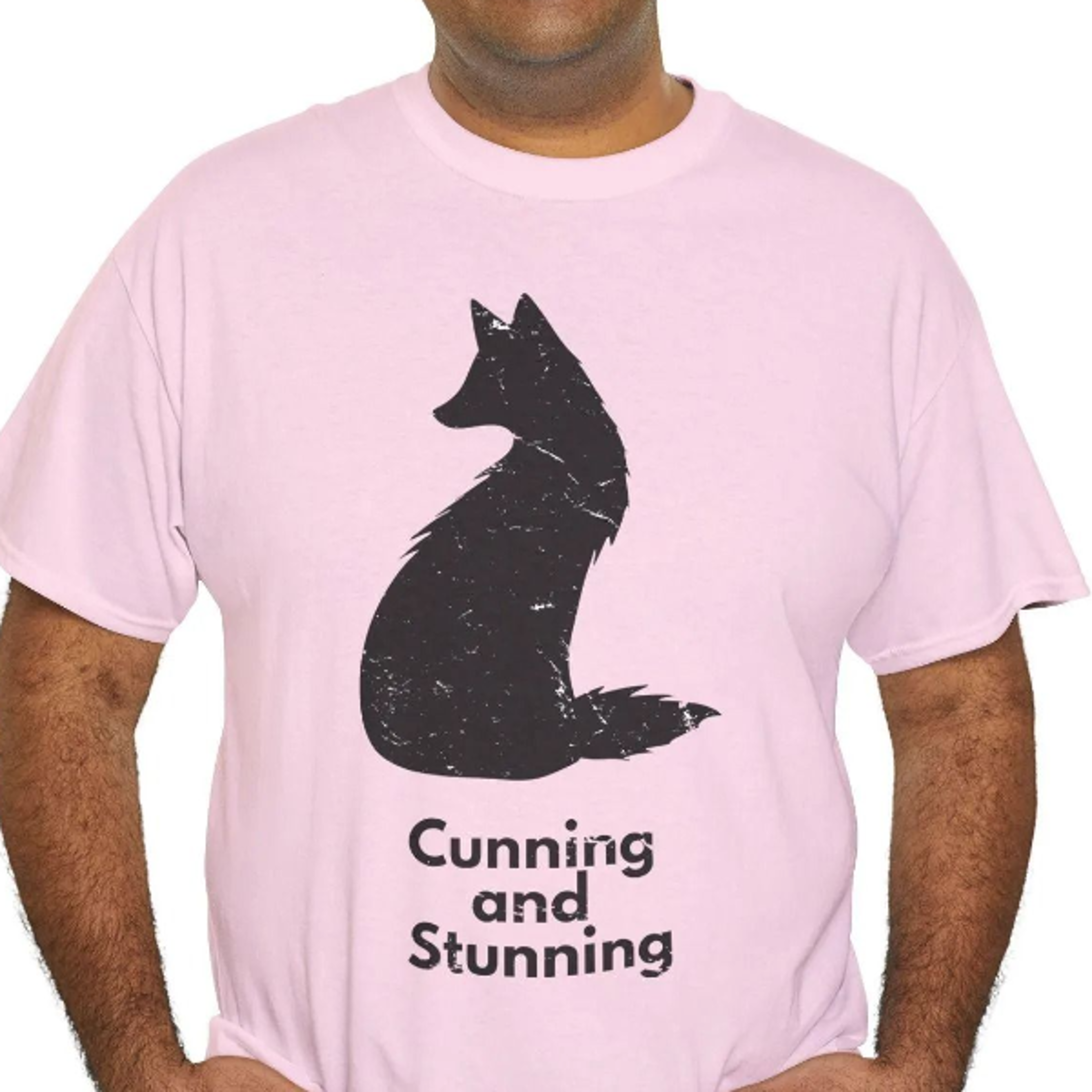 funny fox pun t-shirt, animal lover gift