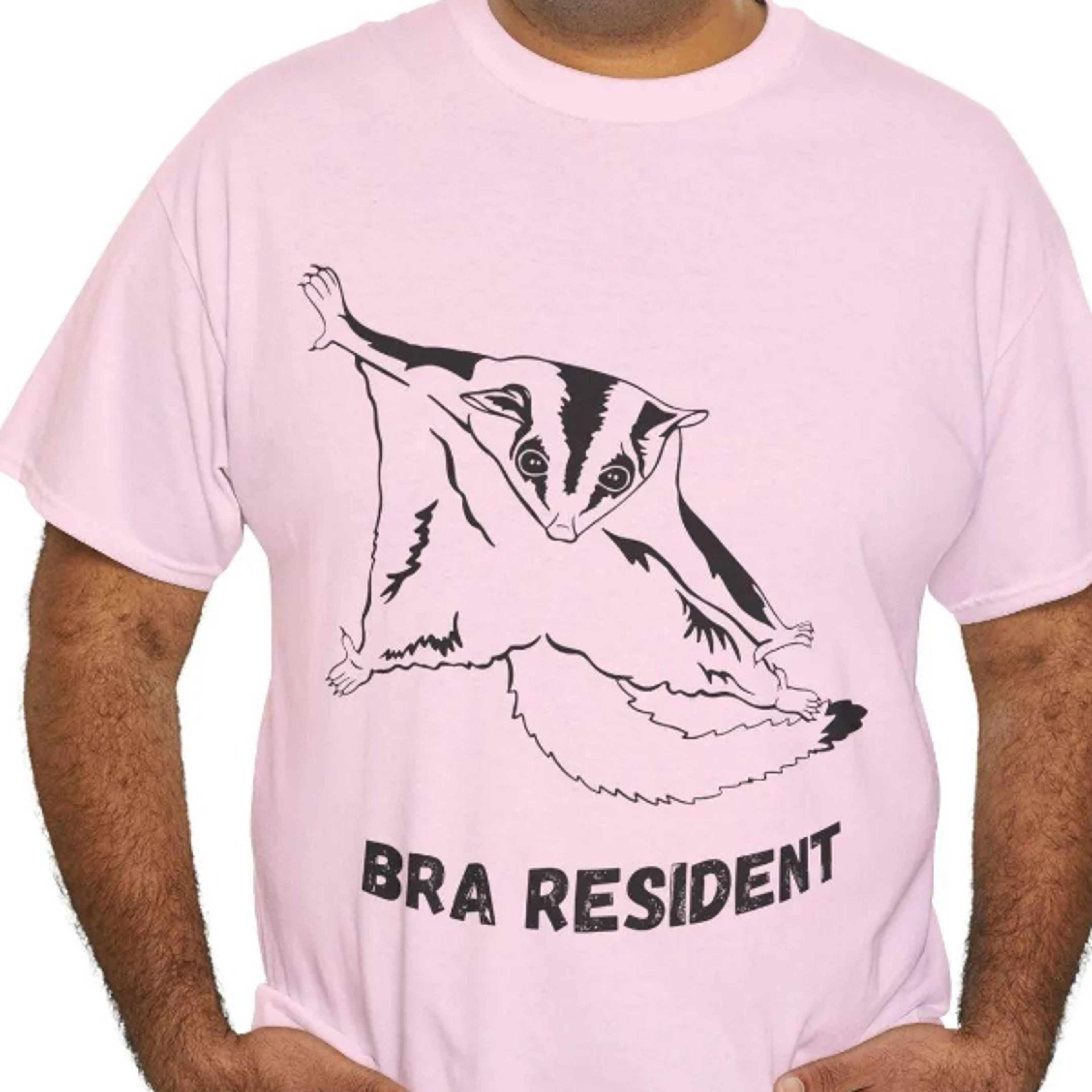 funny sugar glider mom t-shirt, bra resident