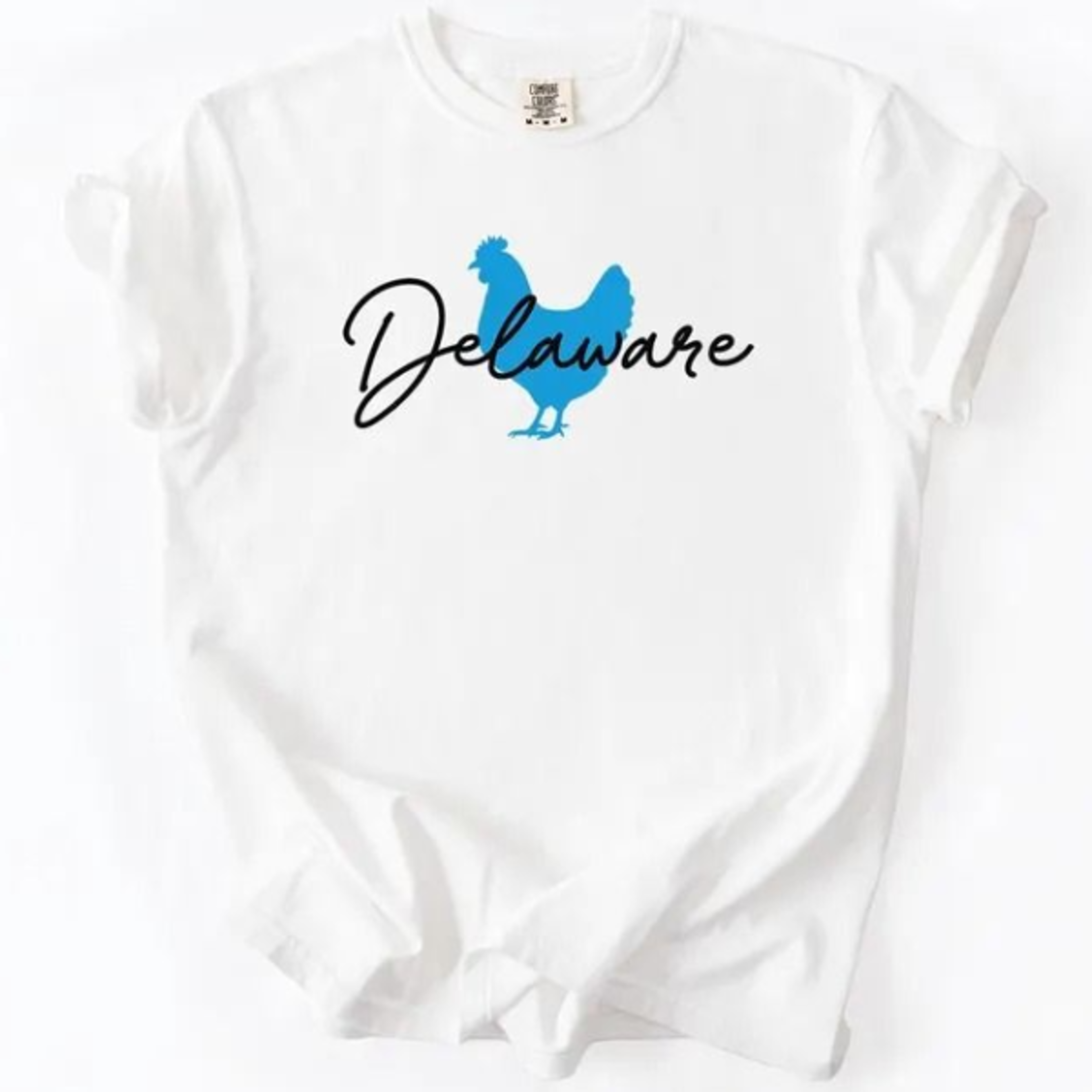 delaware shirt, hen design, minimalist style, t-shirt, hoodie, sweatshirt, tee, state p