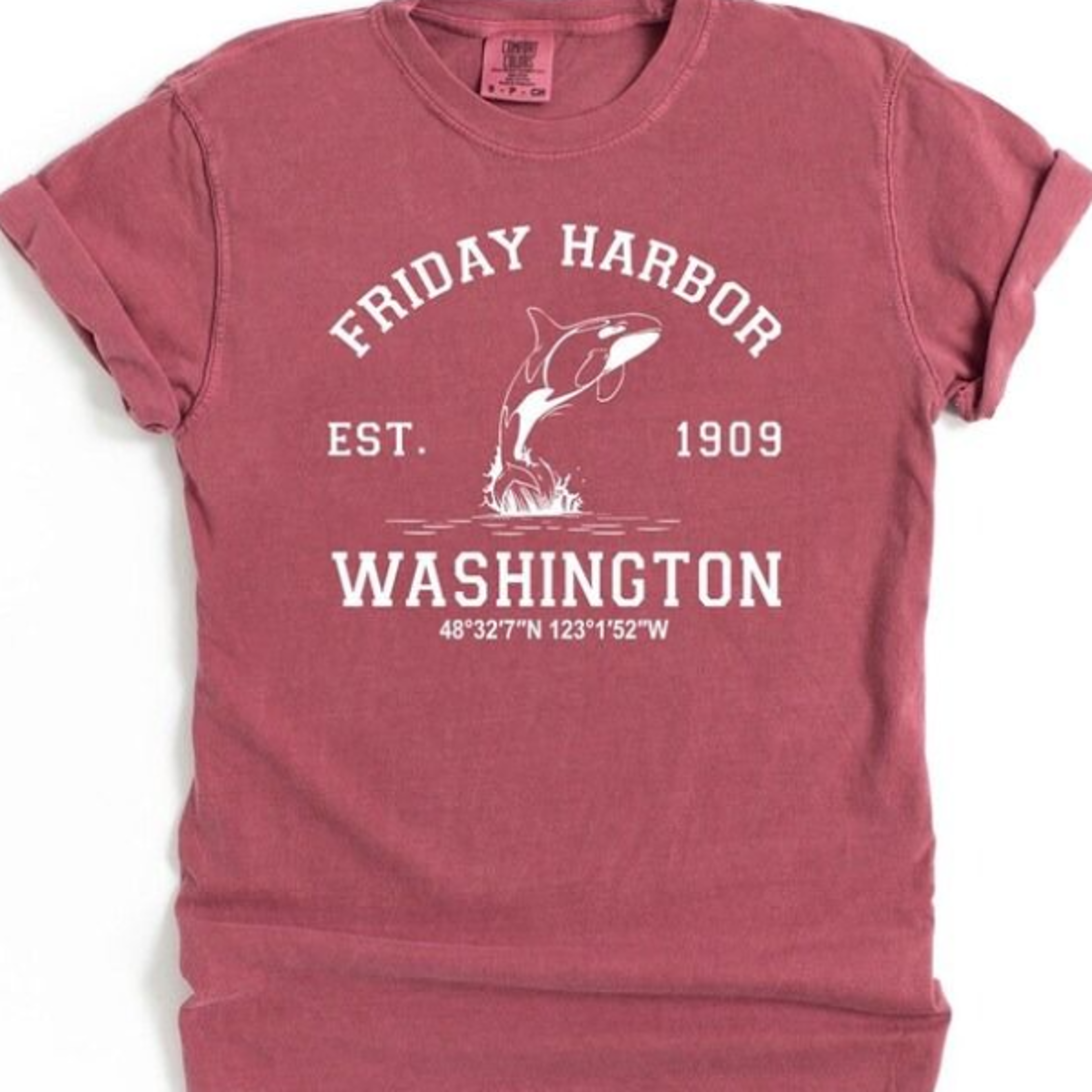 friday harbor shirt, san juan island, washington, t-shirt, hoodie, sweatshirt, tee, coa