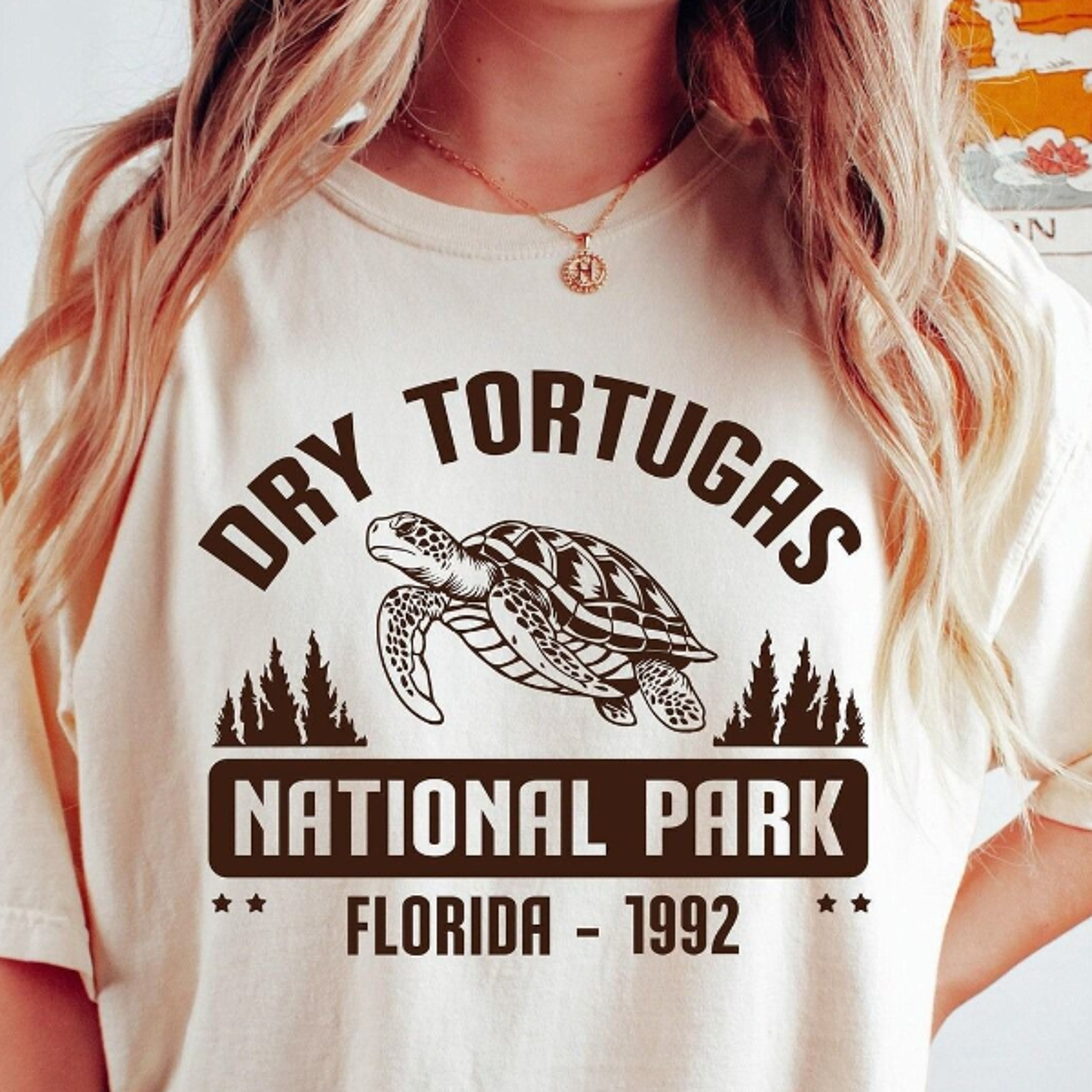 dry tortugas national park shirt, florida, comfort colors t-shirt, hoodie, sweatshirt, tee