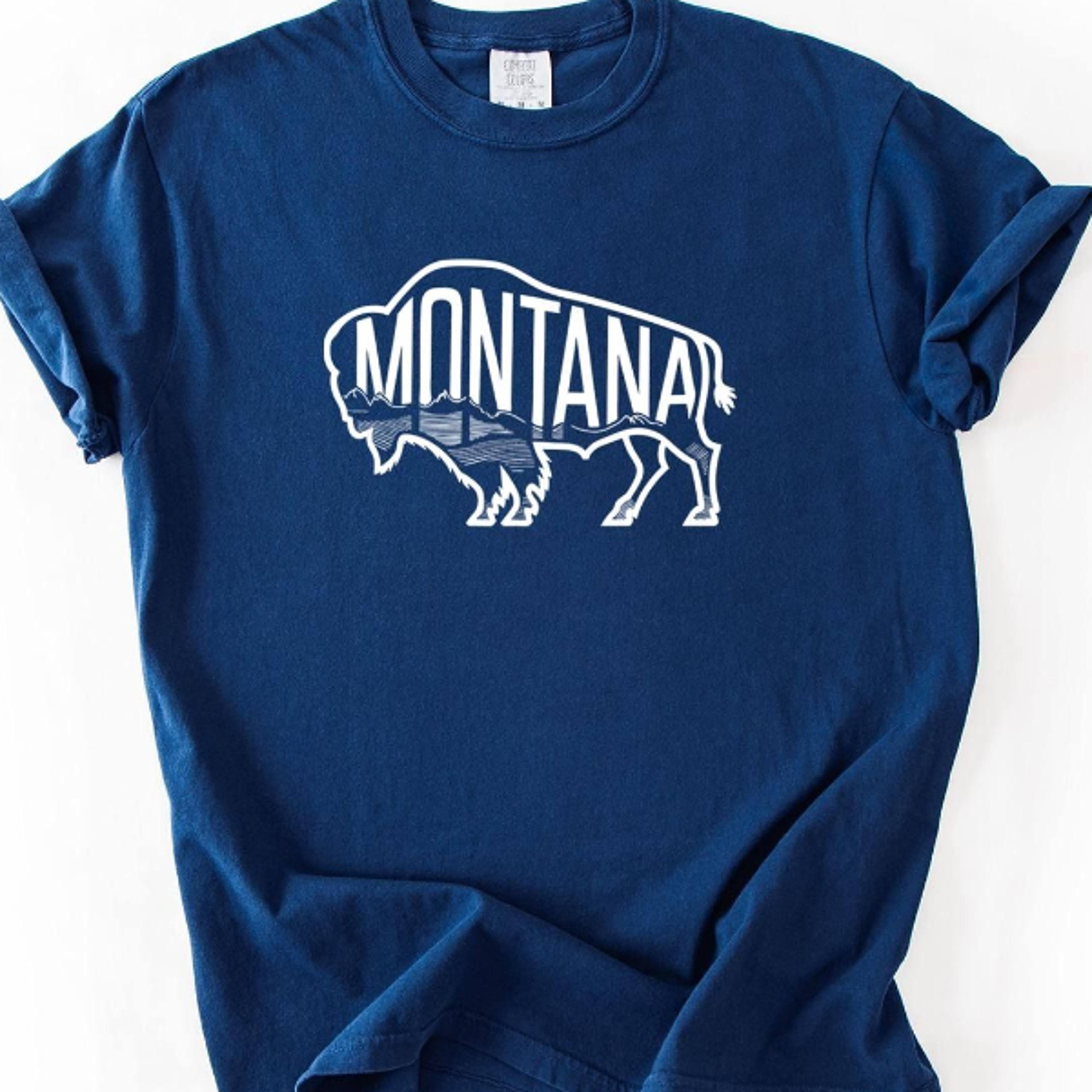 montana bison shirt, t-shirt, , sweatshirt, lightweight hoodie, big sky country tee