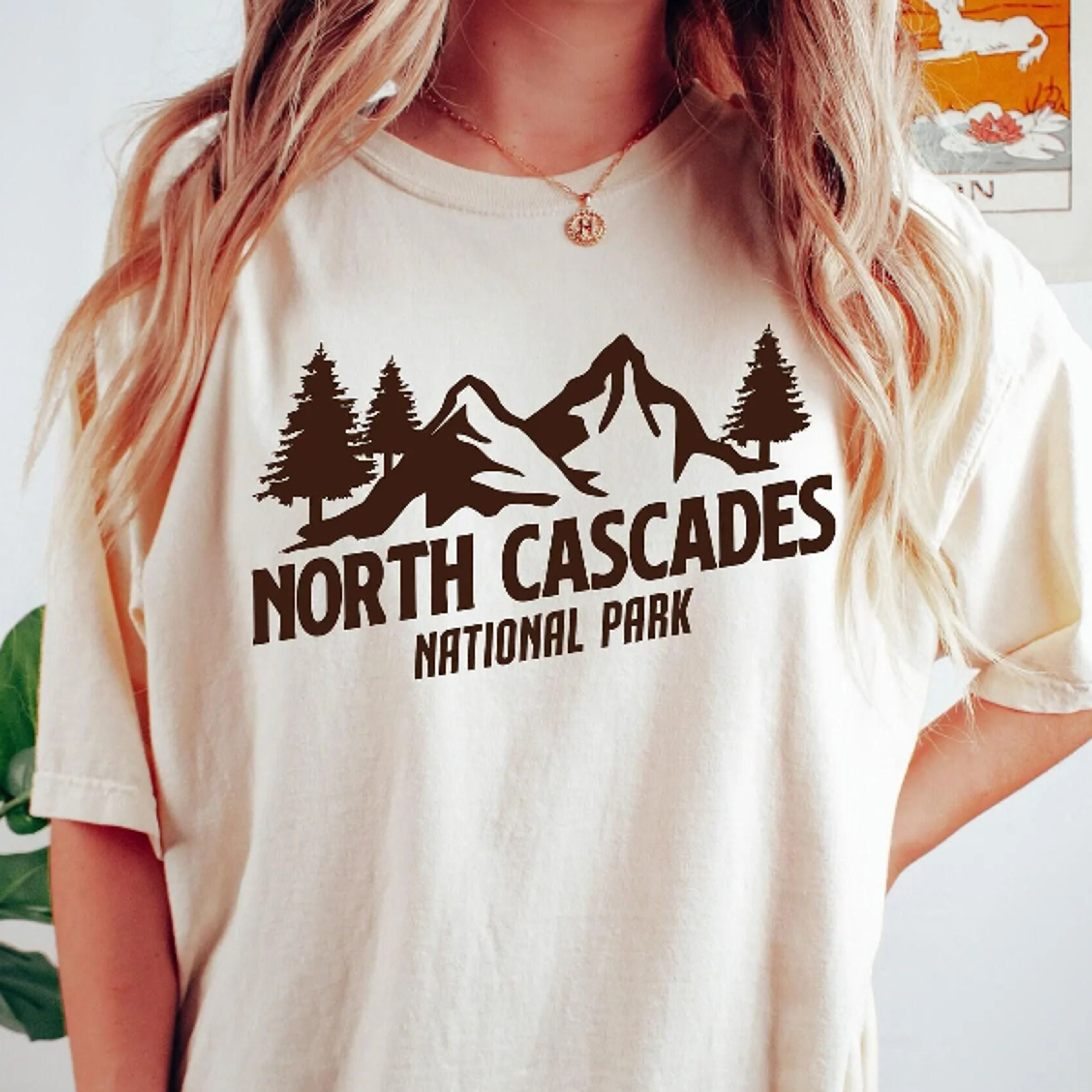 north cascades national park shirt, washington, t-shirt, hoodie, sweatshirt, , tee, natur