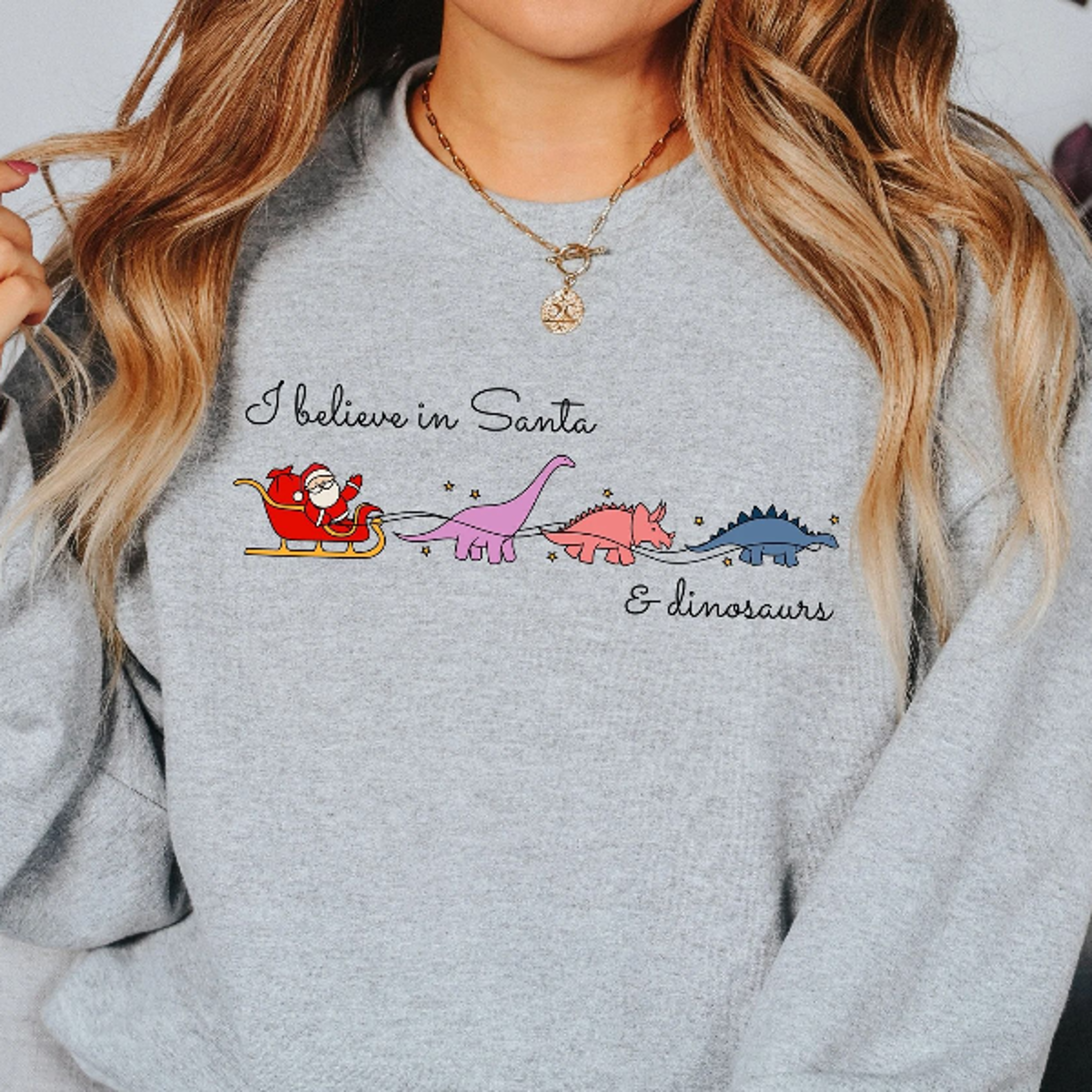 i believe in santa & dinosaurs shirt, funny dinosaur christmas sweatshirt, christmas shirt, holiday graphic tee, ch