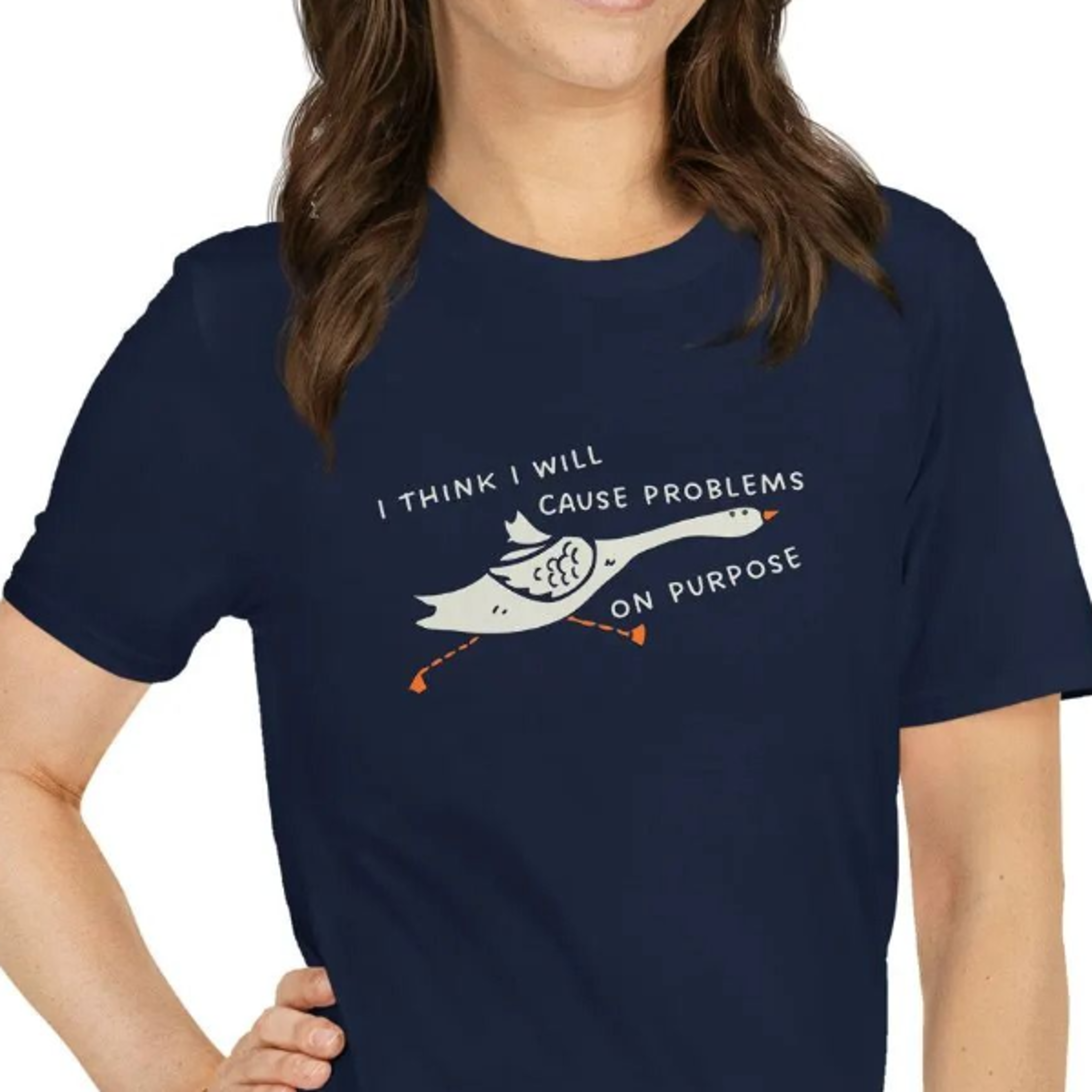 funny goose t-shirt | i think i will cause problems on purpose | trendy silly goose shirt | witty gift for troublemaker