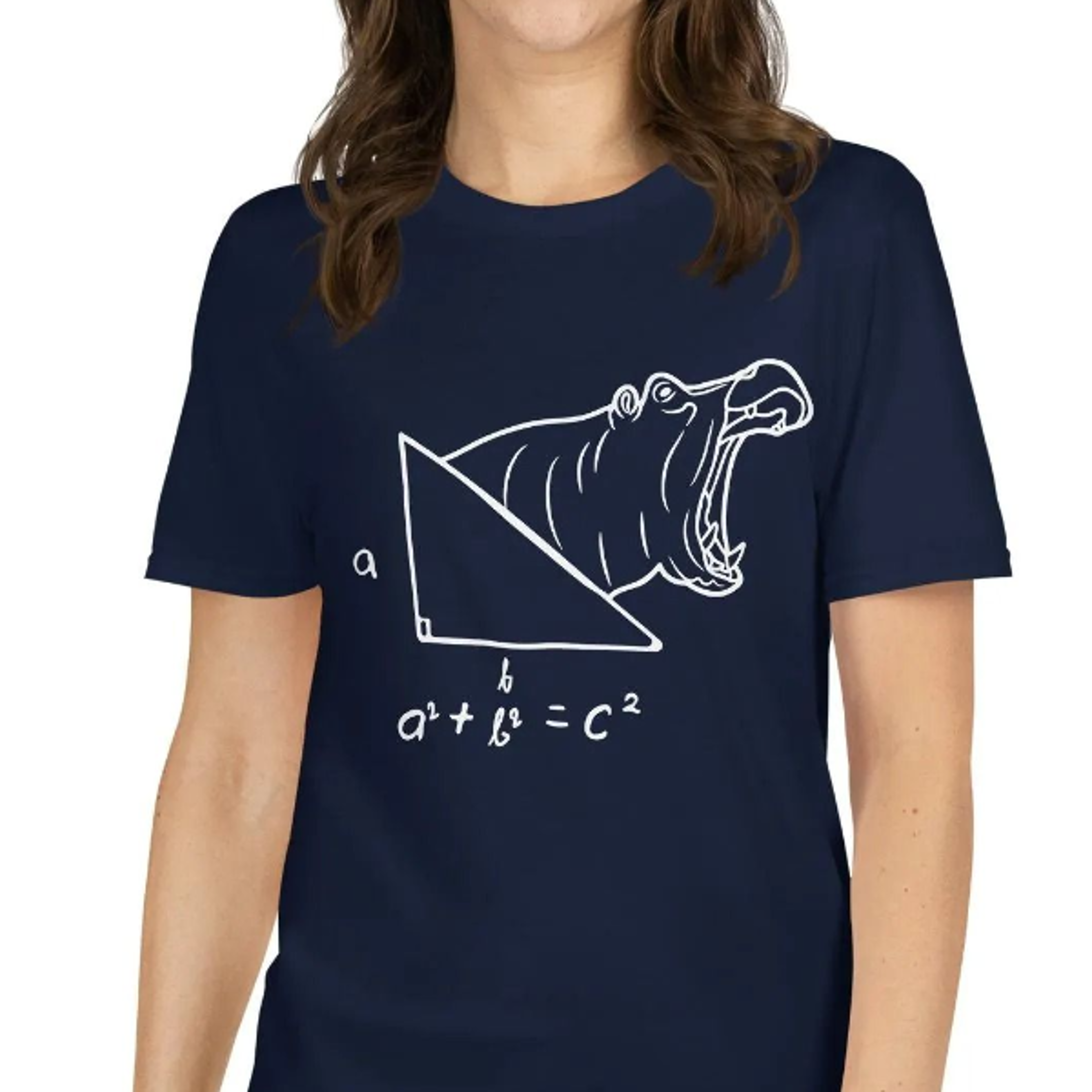 funny math nerd t-shirt pythagorean theorem nerdy humor shirt for teachers | clever witty gift idea for math students an