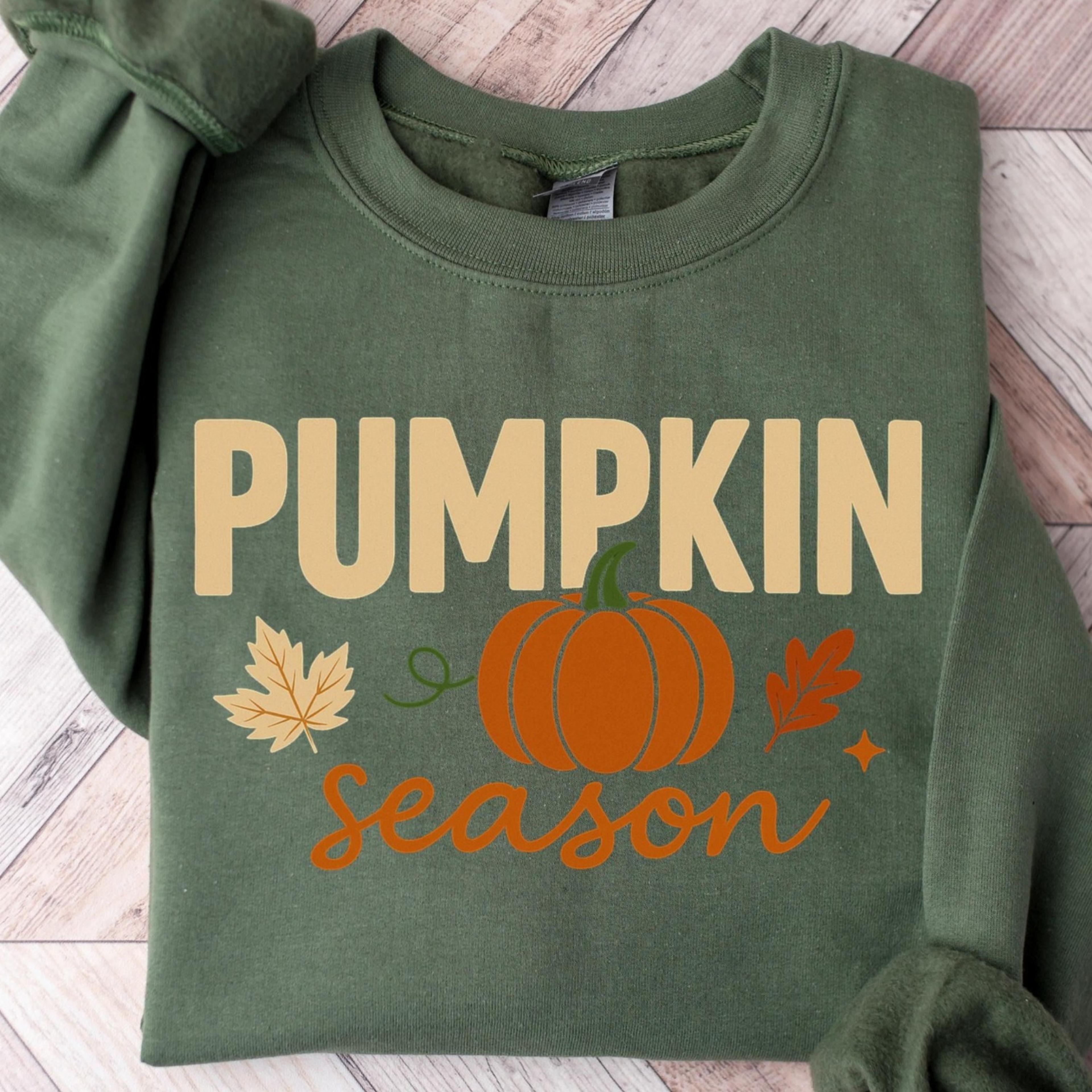pumpkin season sweatshirt, retro fall sweatshirt, cozy sweatshirt, womens fall sweater, fall graphic tee, women fall