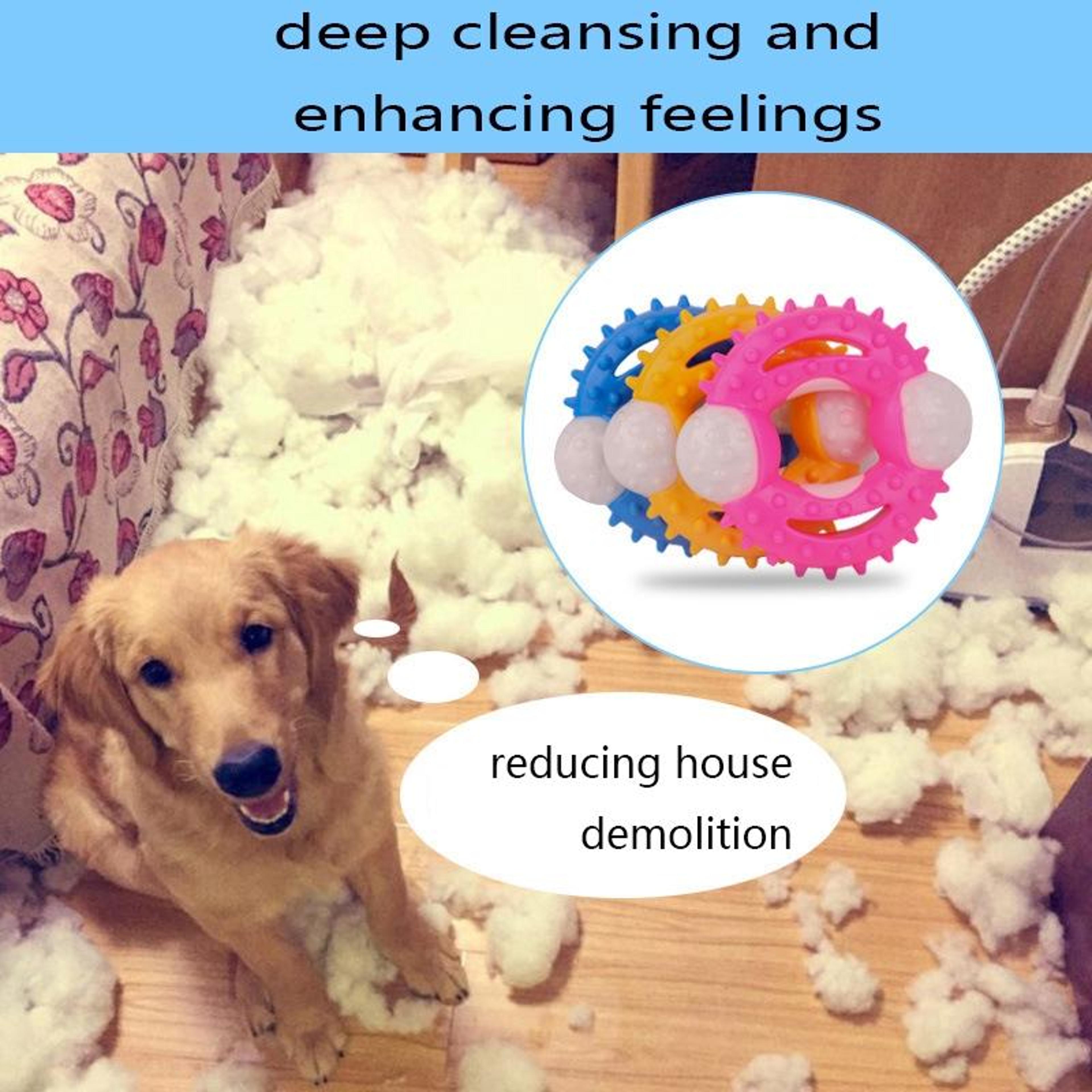 Durable Dog Chew Toy For Teeth Cleaning Interactive TPR Dental Chew Ball For Dogs 9