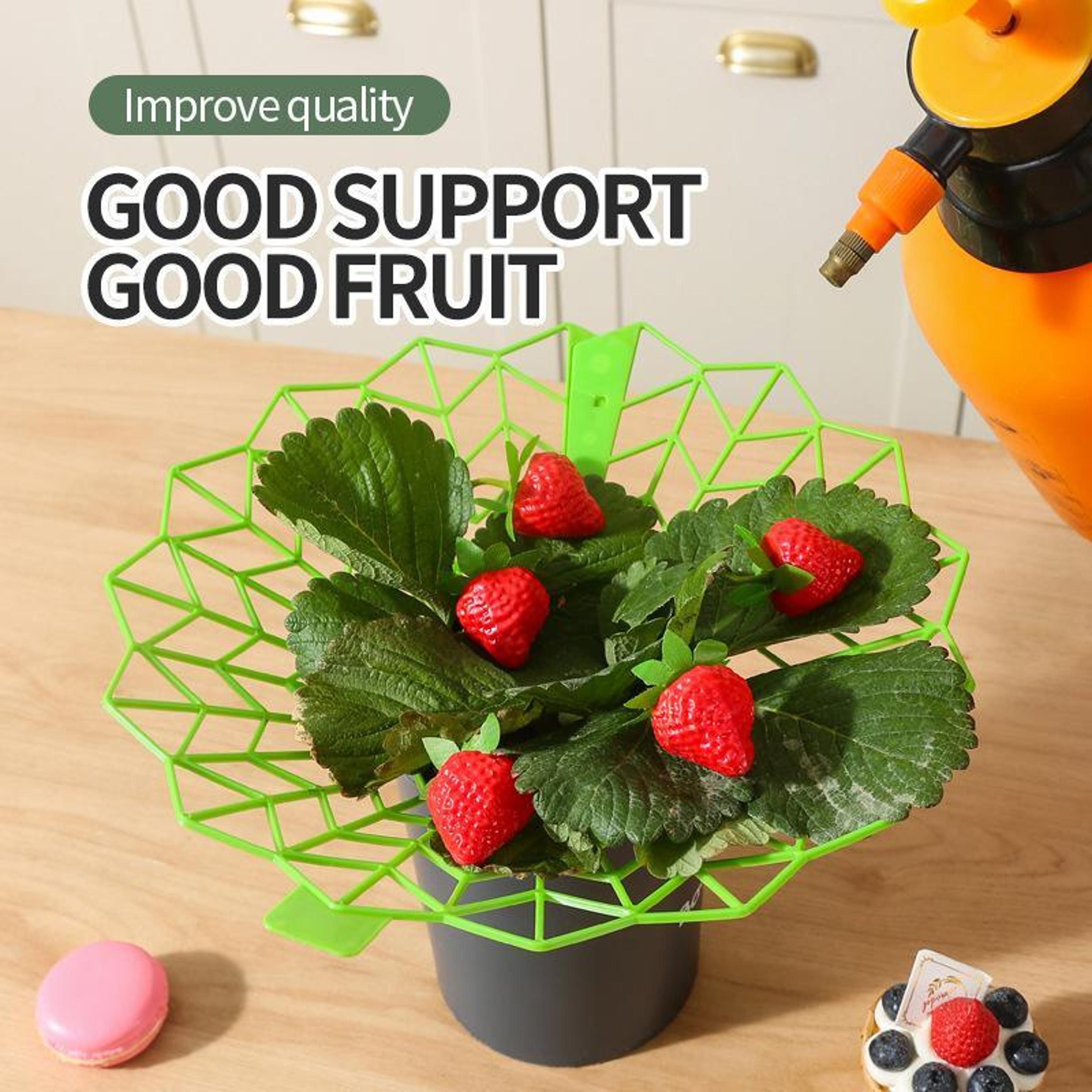 Strawberry Plant Support Ring Stand AntiRotting Garden Strawberry Support Frame Rack 4
