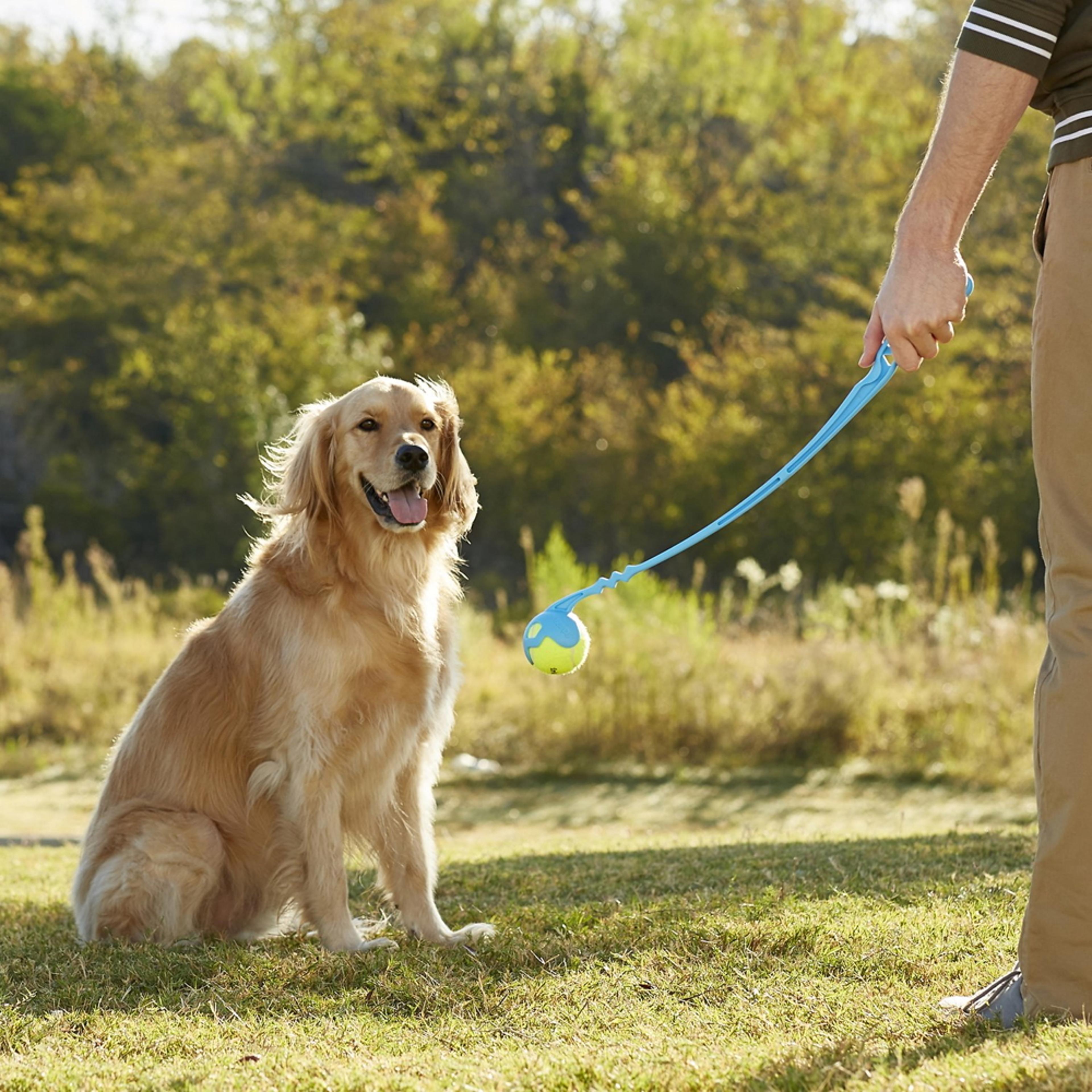 fetch it manual dog ball launcher & thrower