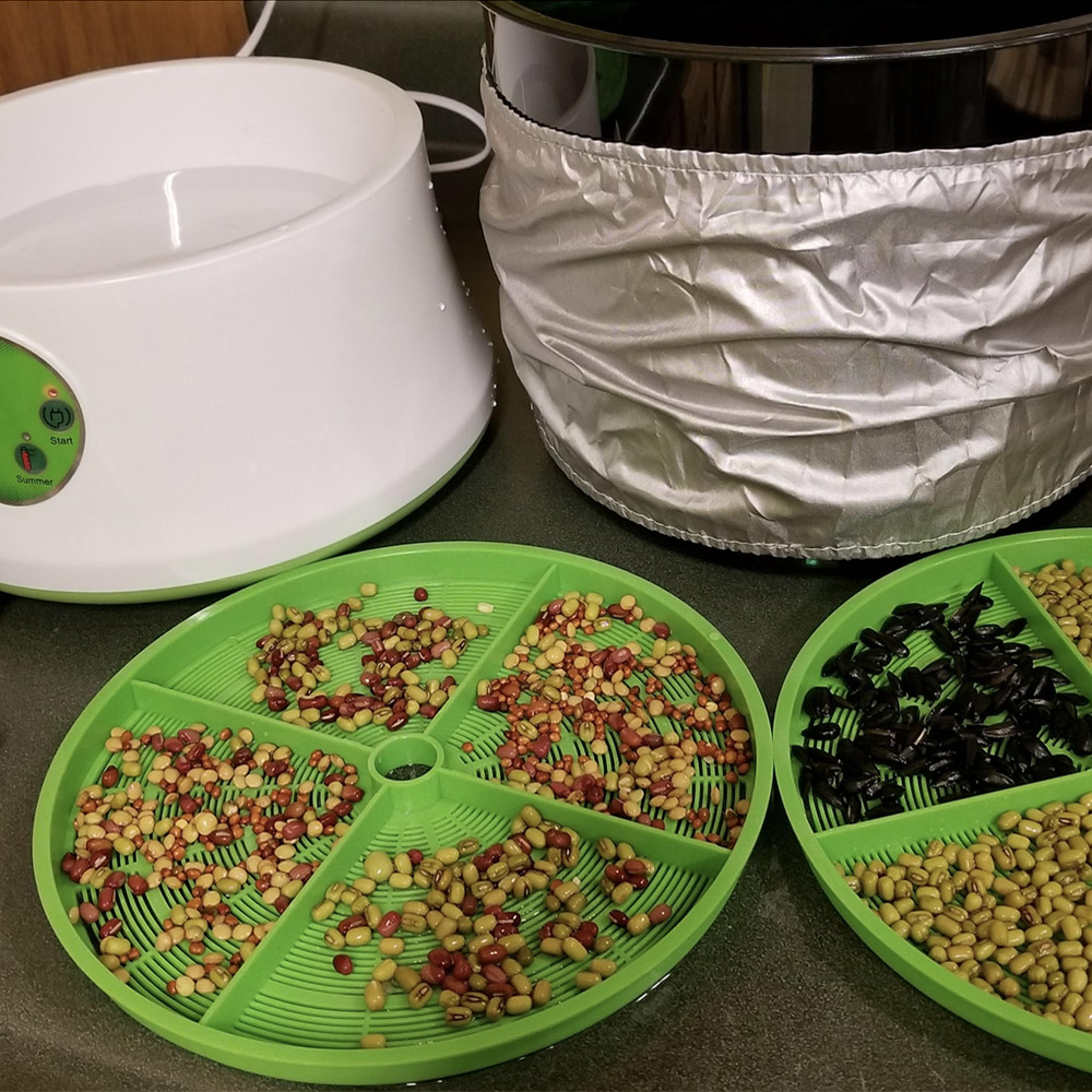 multi-layered automatic bean sprout machine