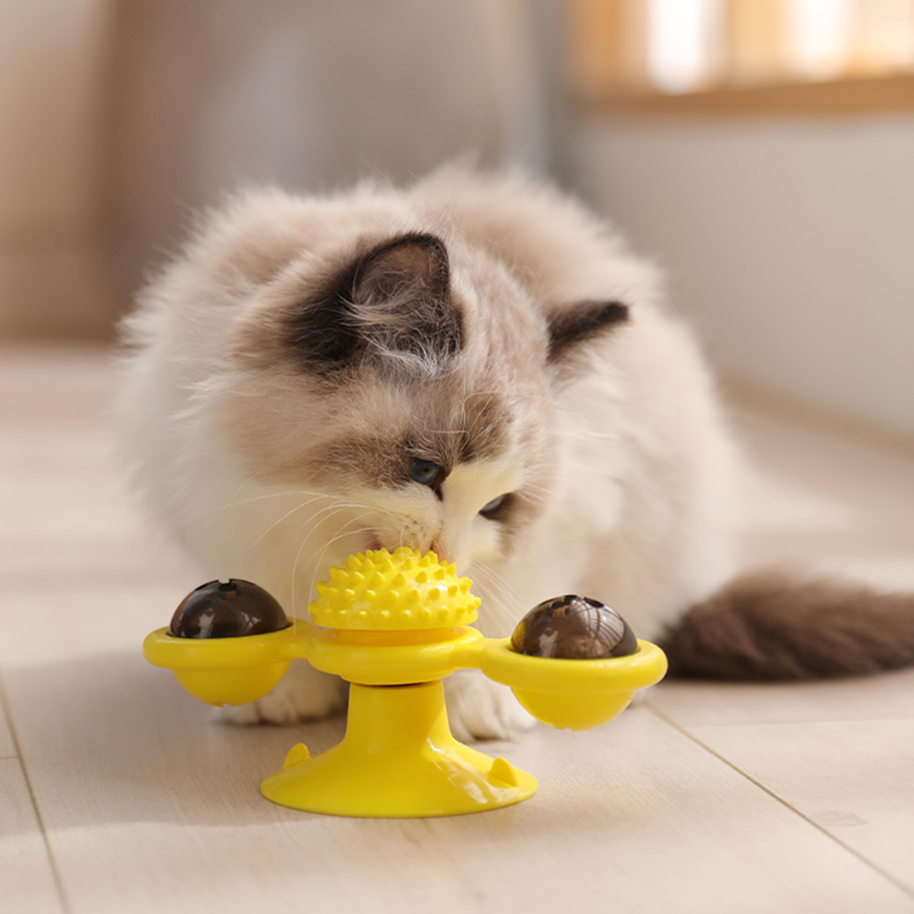 rotating windmill cat toy for chewing, swatting & rubbing